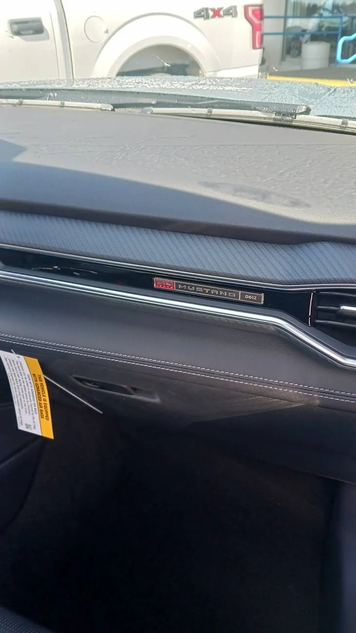 S650 Mustang Unofficial 2025 60th Anniversary Edition Mustang Registry 20250415_113203