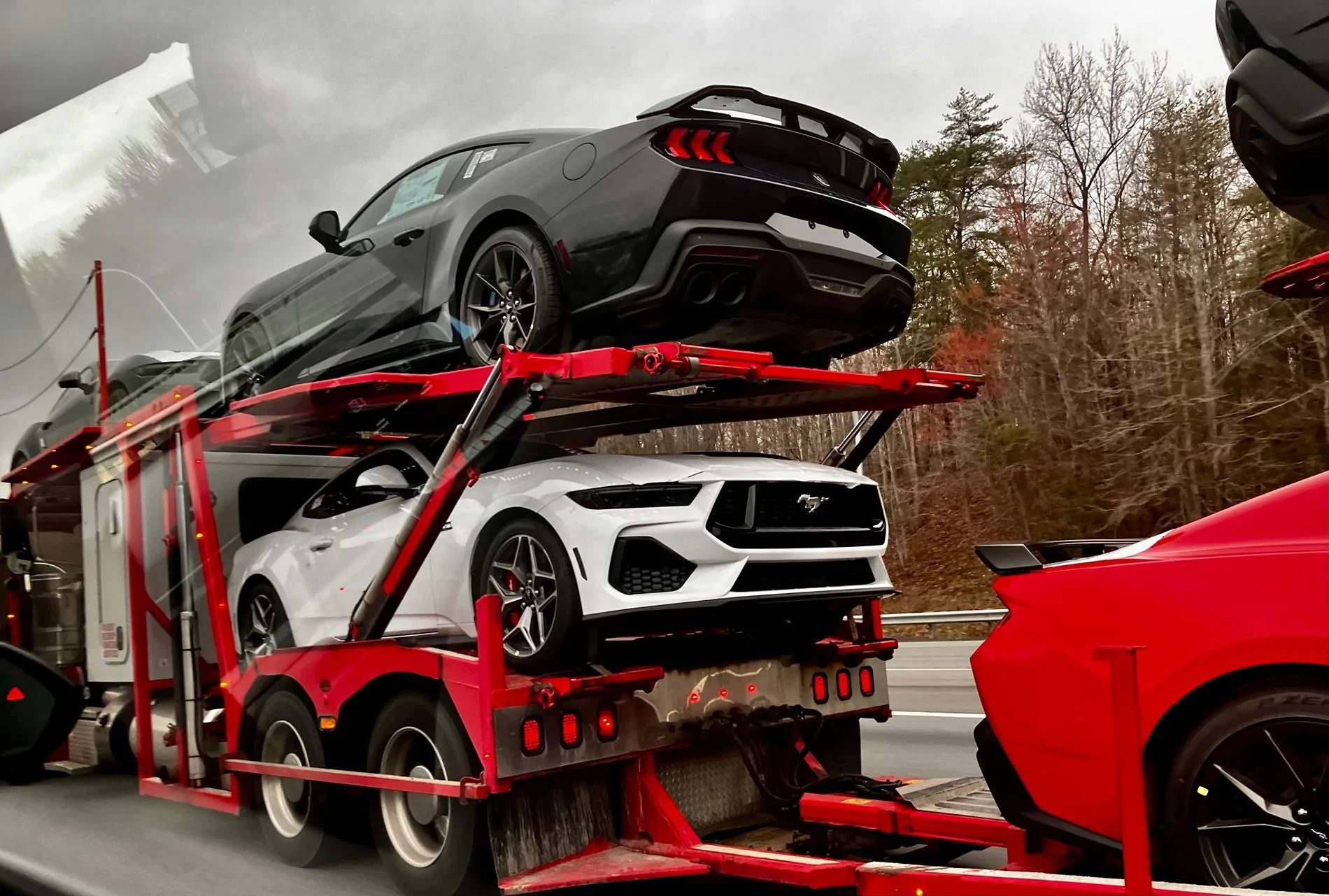 S650 Mustang New ponies en route IMG_2668
