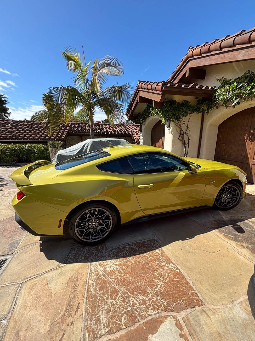 S650 Mustang Official INTENSE LIME YELLOW Mustang S650 Thread IMG_1600