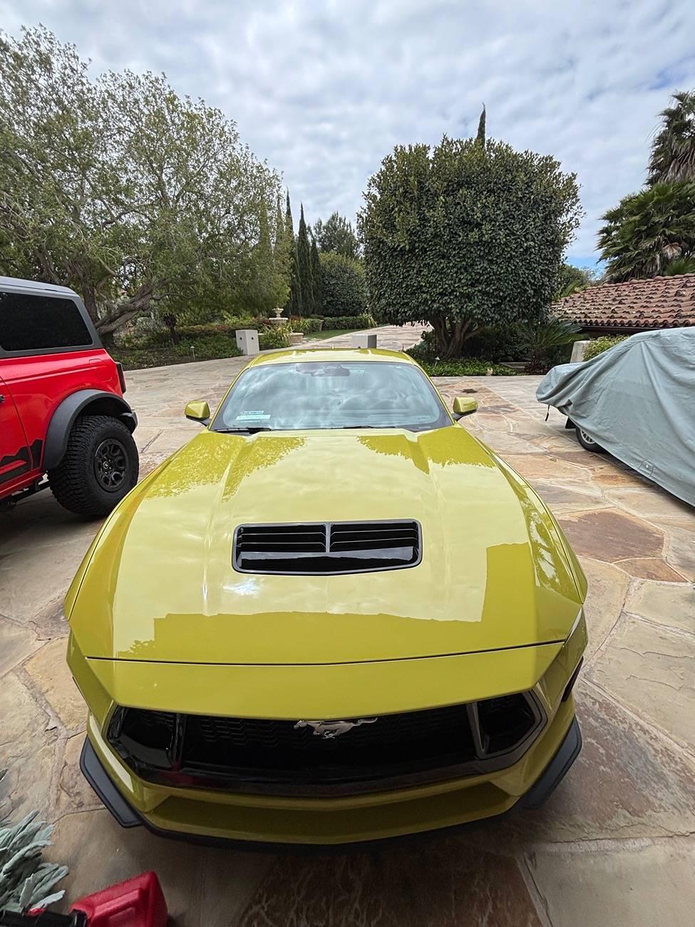 S650 Mustang Official INTENSE LIME YELLOW Mustang S650 Thread IMG_1593