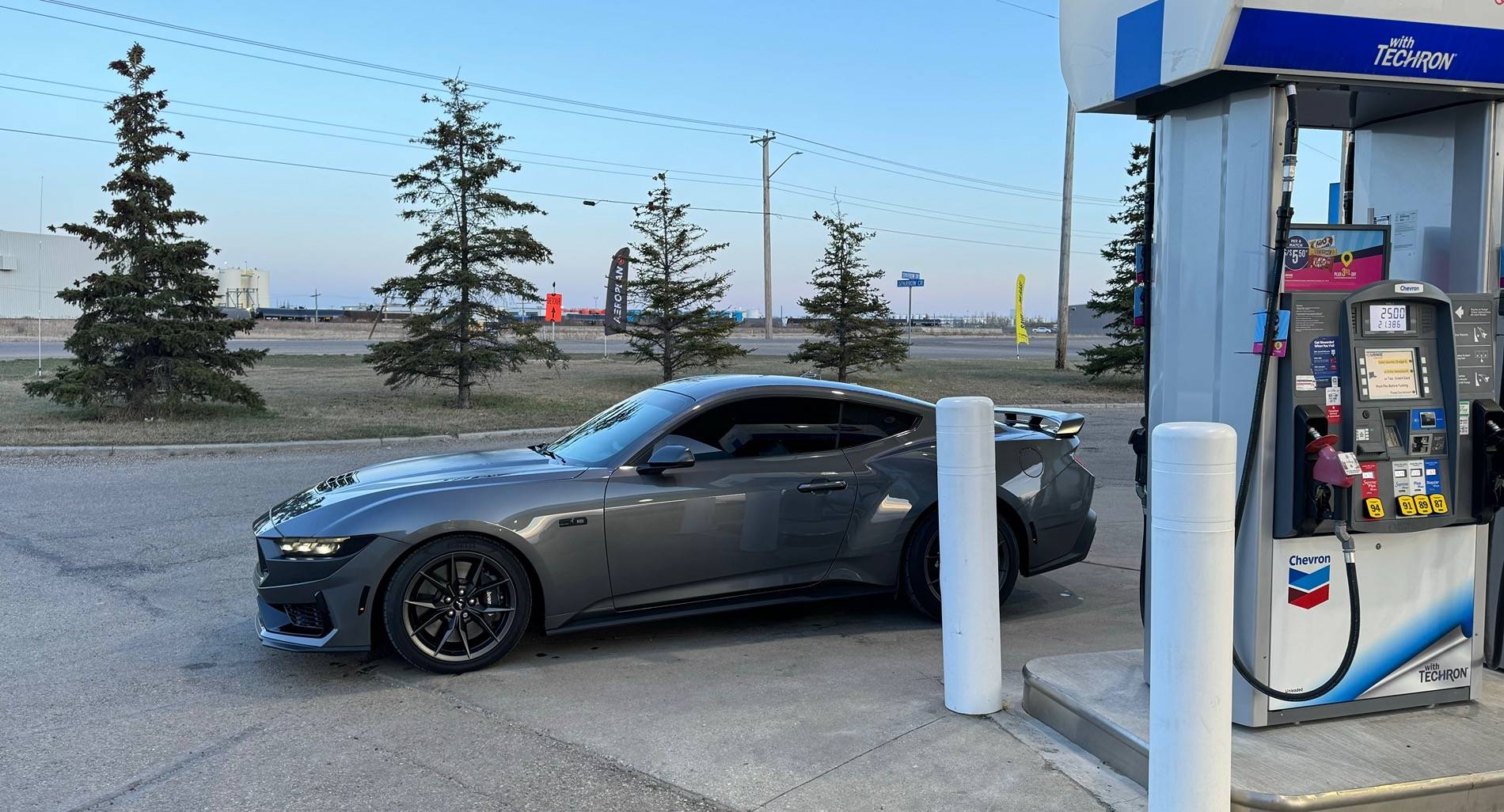 S650 Mustang Cool Daily Random S650 Mustang Pics -- Post Yours! 📸 C07F6B6A-EA44-4D0E-9803-EDF25D91723C