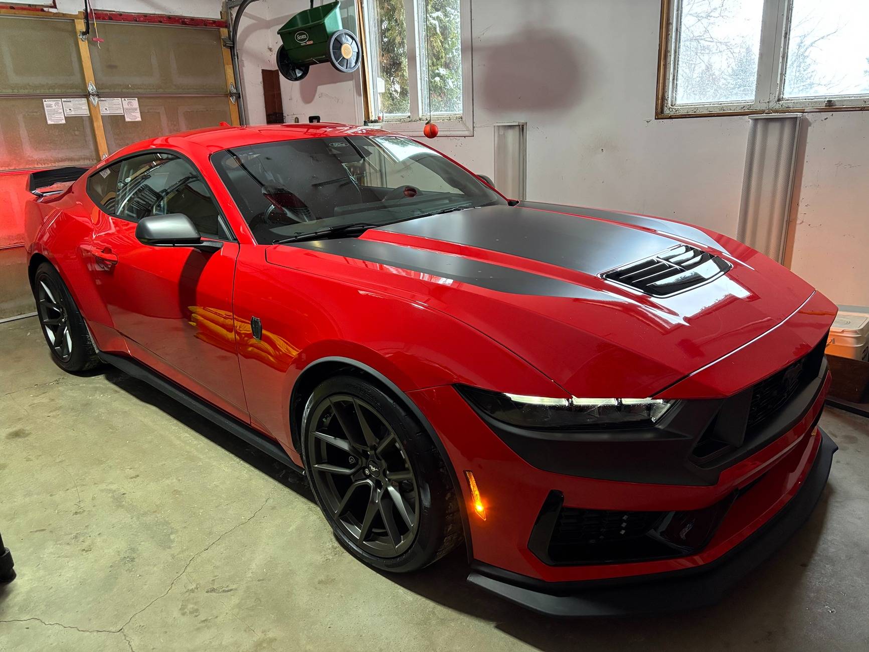 S650 Mustang Introductions & Welcome Thread 👋 IMG_0739