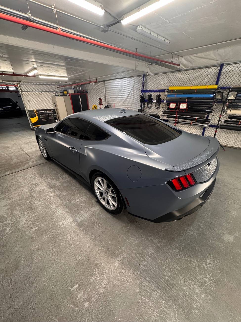 S650 Mustang Cool Daily Random S650 Mustang Pics -- Post Yours! 📸 IMG_1650