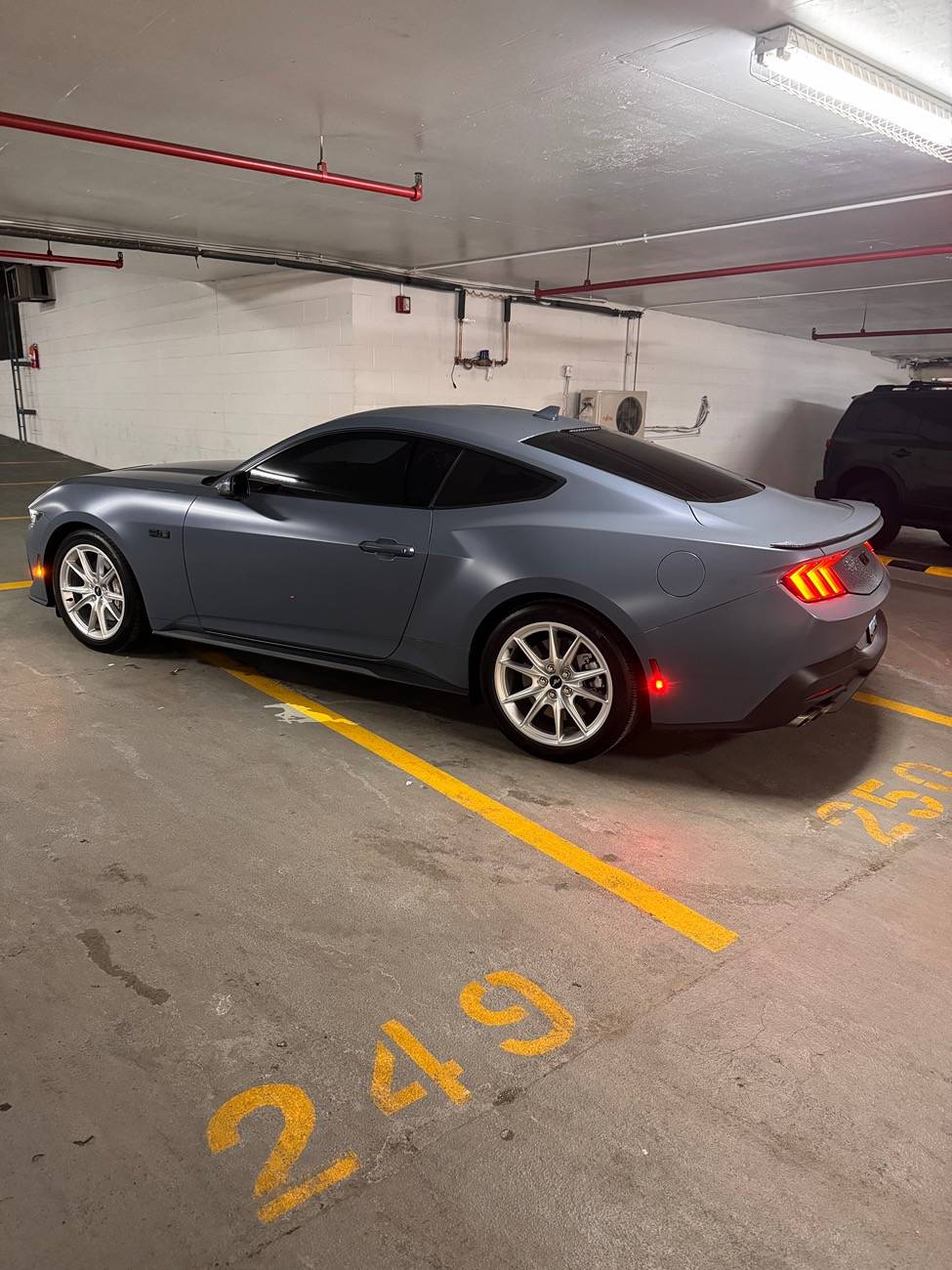 S650 Mustang Cool Daily Random S650 Mustang Pics -- Post Yours! 📸 IMG_1545