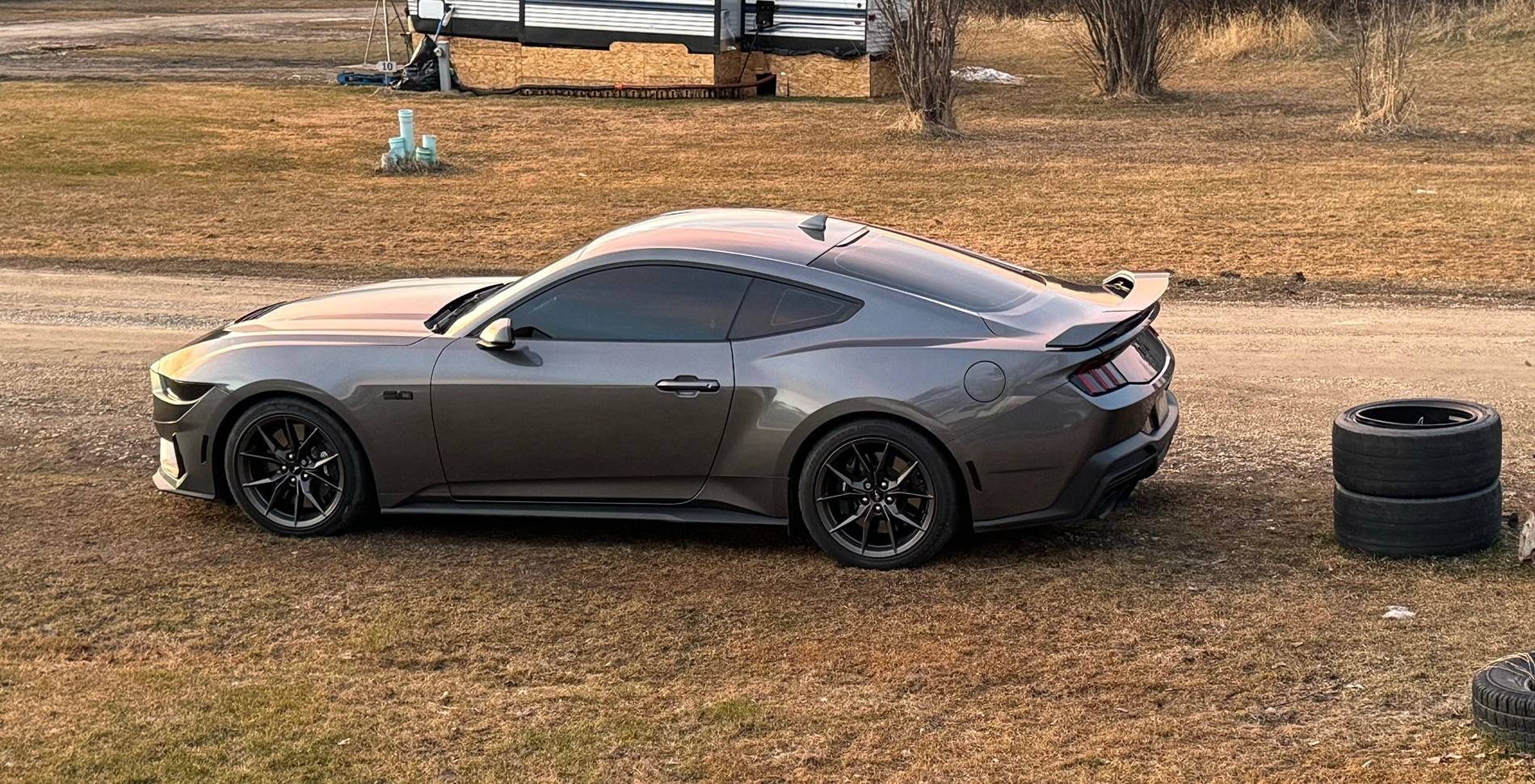 S650 Mustang Official CARBONIZED GRAY Mustang S650 Thread A6867BDE-F3BE-4016-9C95-7F1EC778AA5E