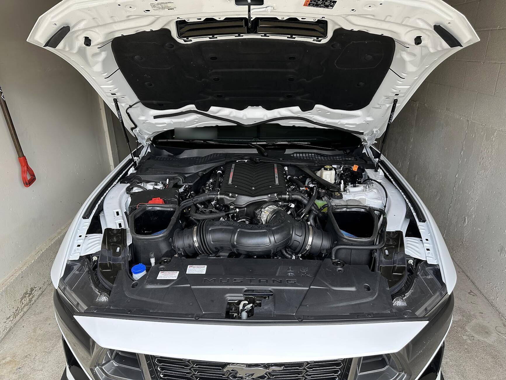 S650 Mustang 2024 Dark Horse Premium "Freyja" (Chassis # 7161) - My Build Journal 1745459996322-ww