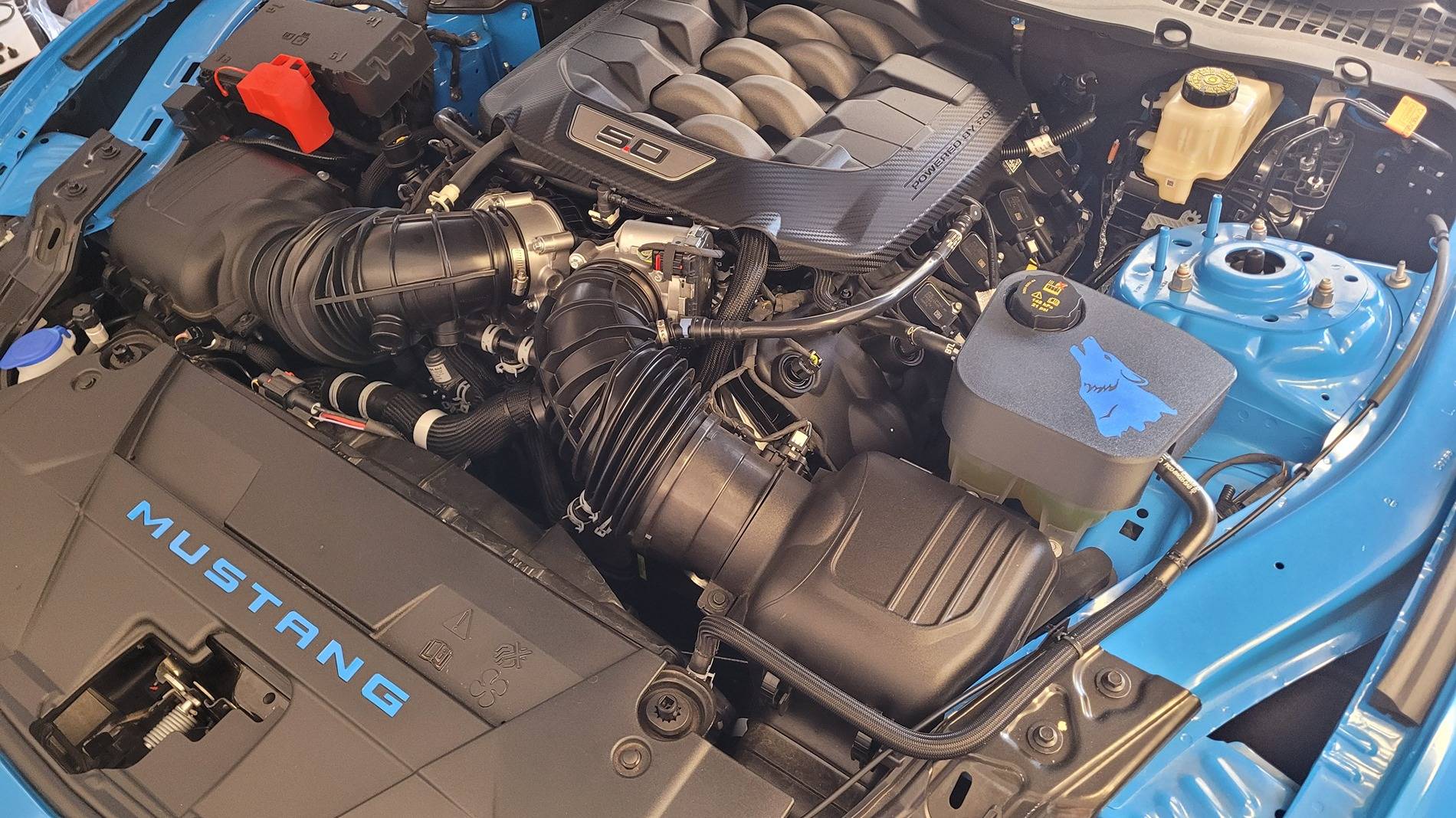 S650 Mustang My twin found me -- 2024 GT Grabber Blue 20250423_163630