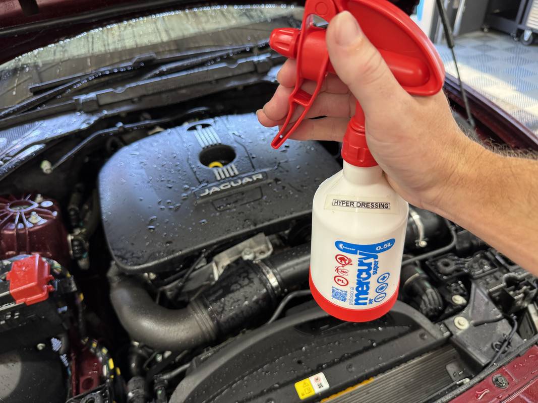 S650 Mustang Favourite All Purpose Cleaner for Engine Bay? IMG_4082