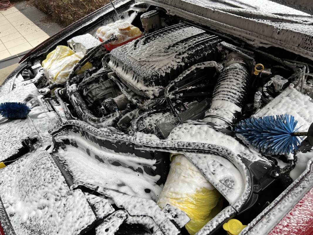 S650 Mustang Favourite All Purpose Cleaner for Engine Bay? IMG_3336