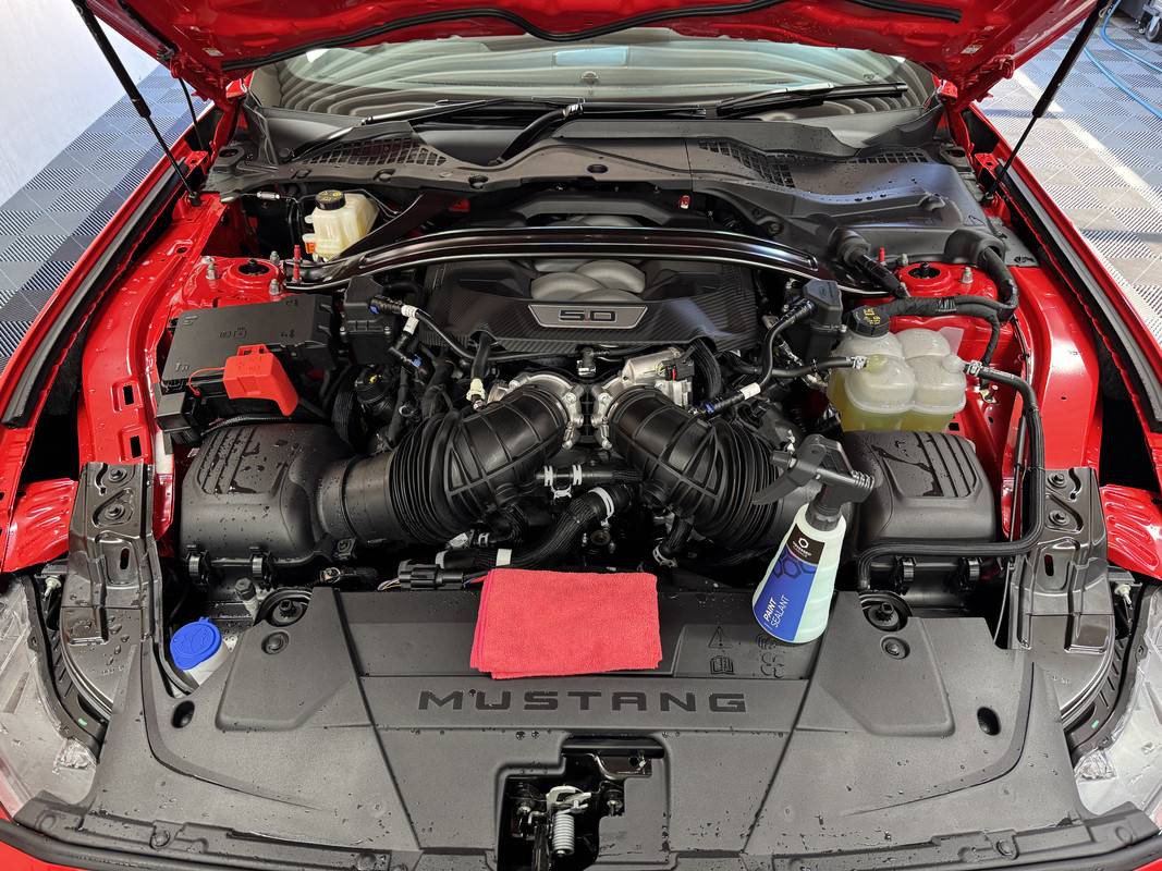 S650 Mustang Favourite All Purpose Cleaner for Engine Bay? IMG-4227