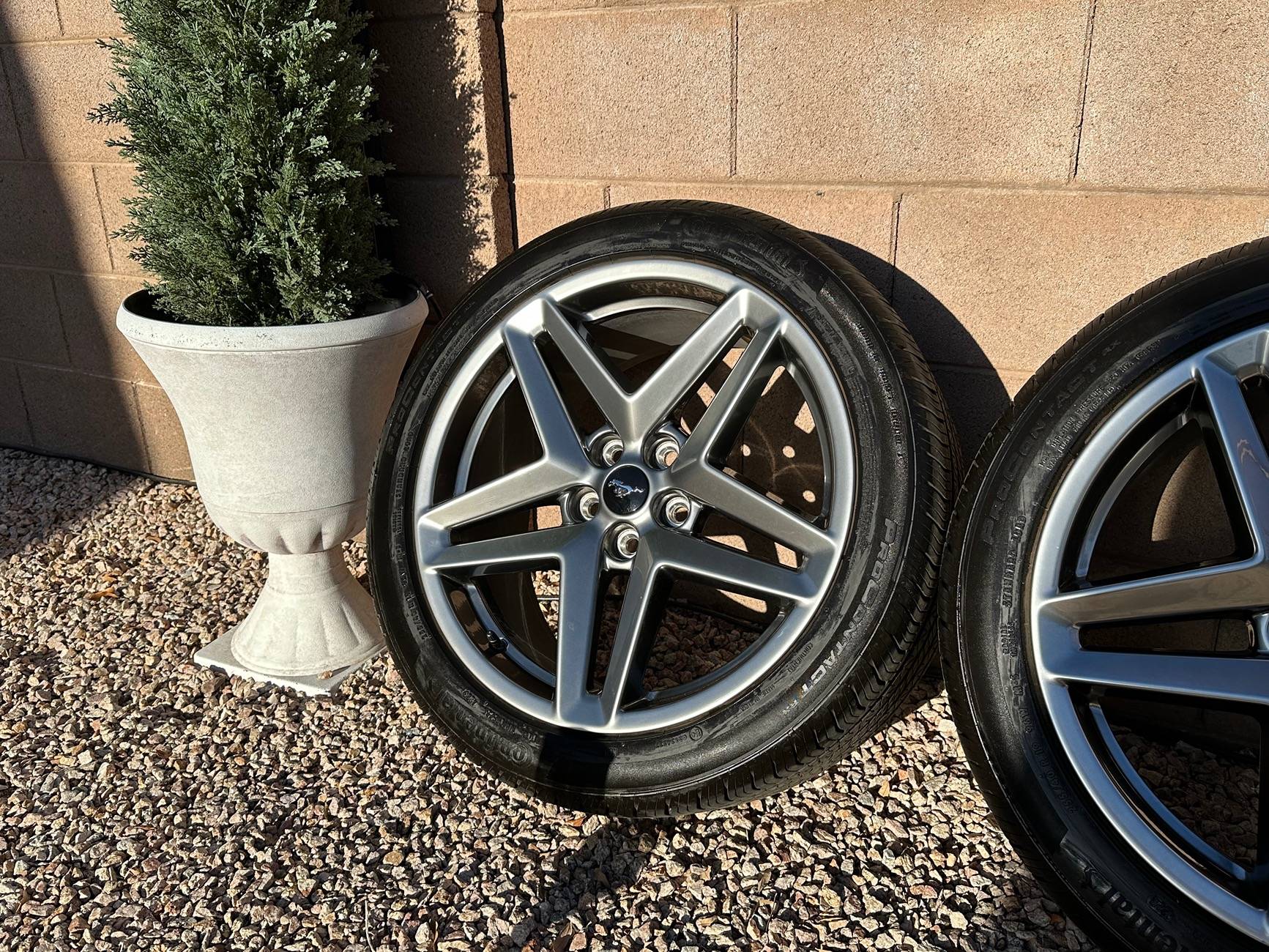 S650 Mustang 2024 Ford Mustang OEM Premium 19" Rims and Tires IMG_4126