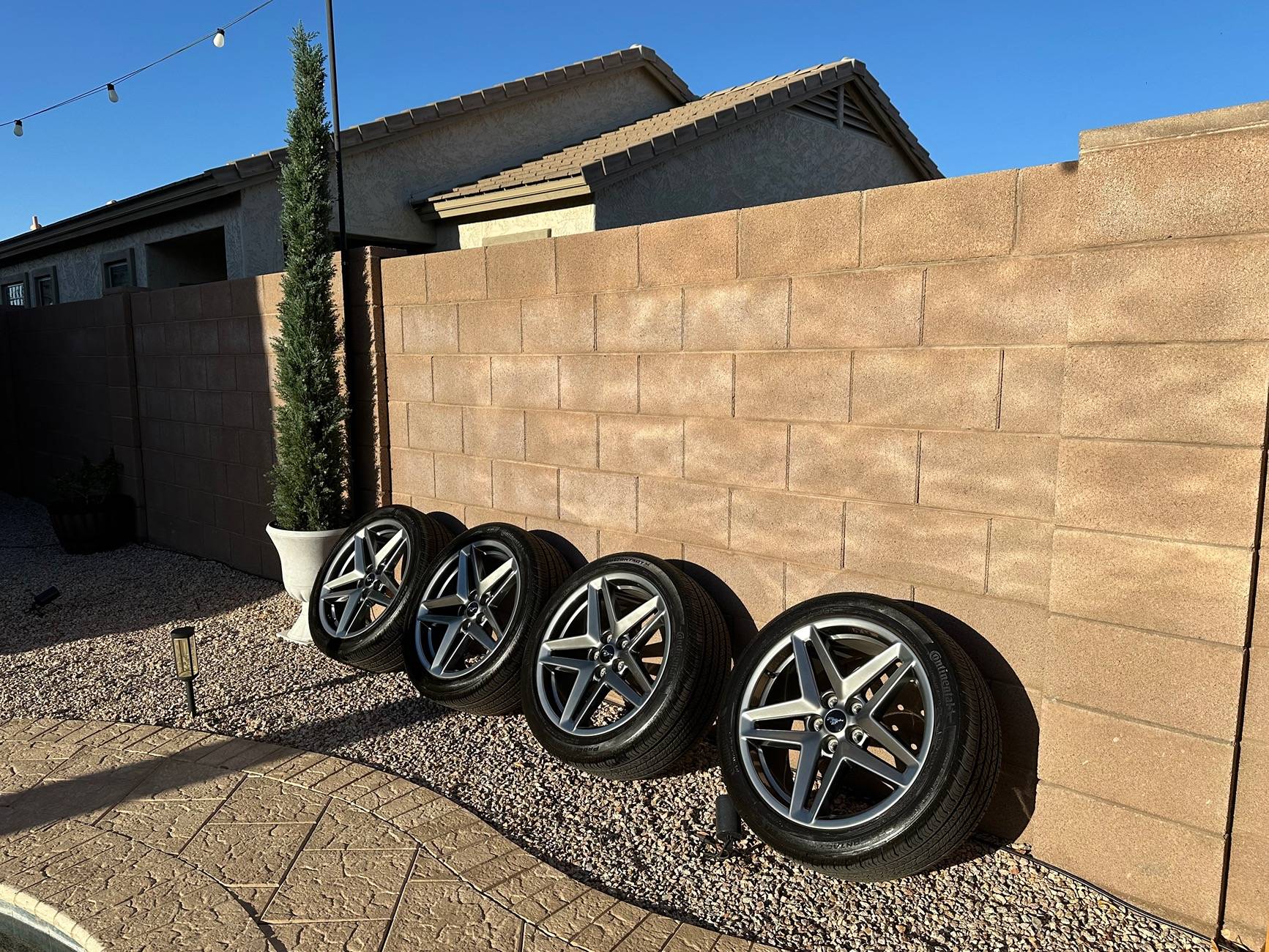 S650 Mustang 2024 Ford Mustang OEM Premium 19" Rims and Tires IMG_4122