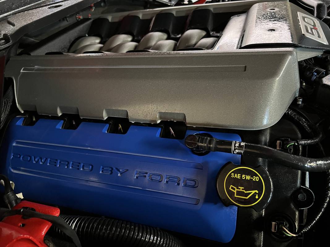 S650 Mustang Favourite All Purpose Cleaner for Engine Bay? IMG-3104