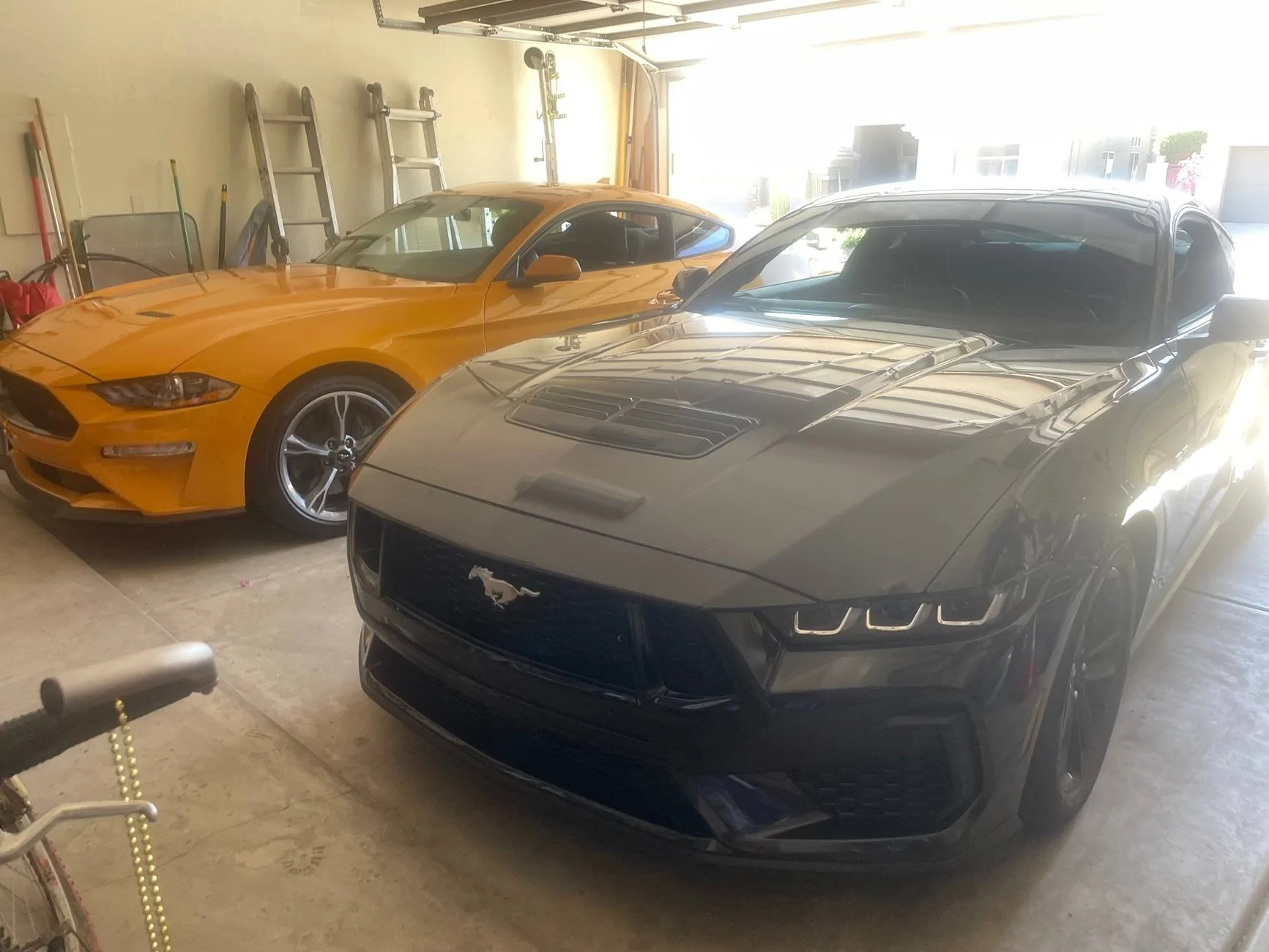 S650 Mustang Should I sell? IMG_0696