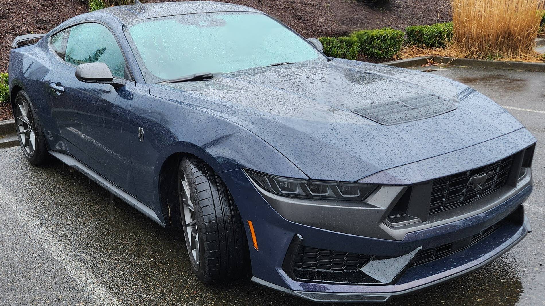 S650 Mustang Cool Daily Random S650 Mustang Pics -- Post Yours! 📸 20250408_080323
