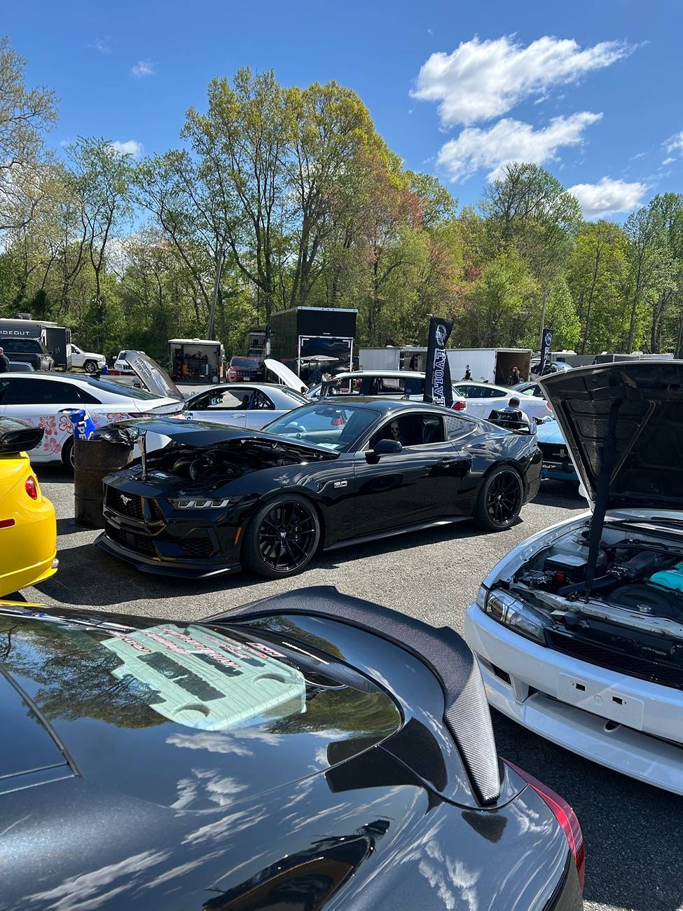 S650 Mustang Cecil county car show was a huge turnout IMG_2776