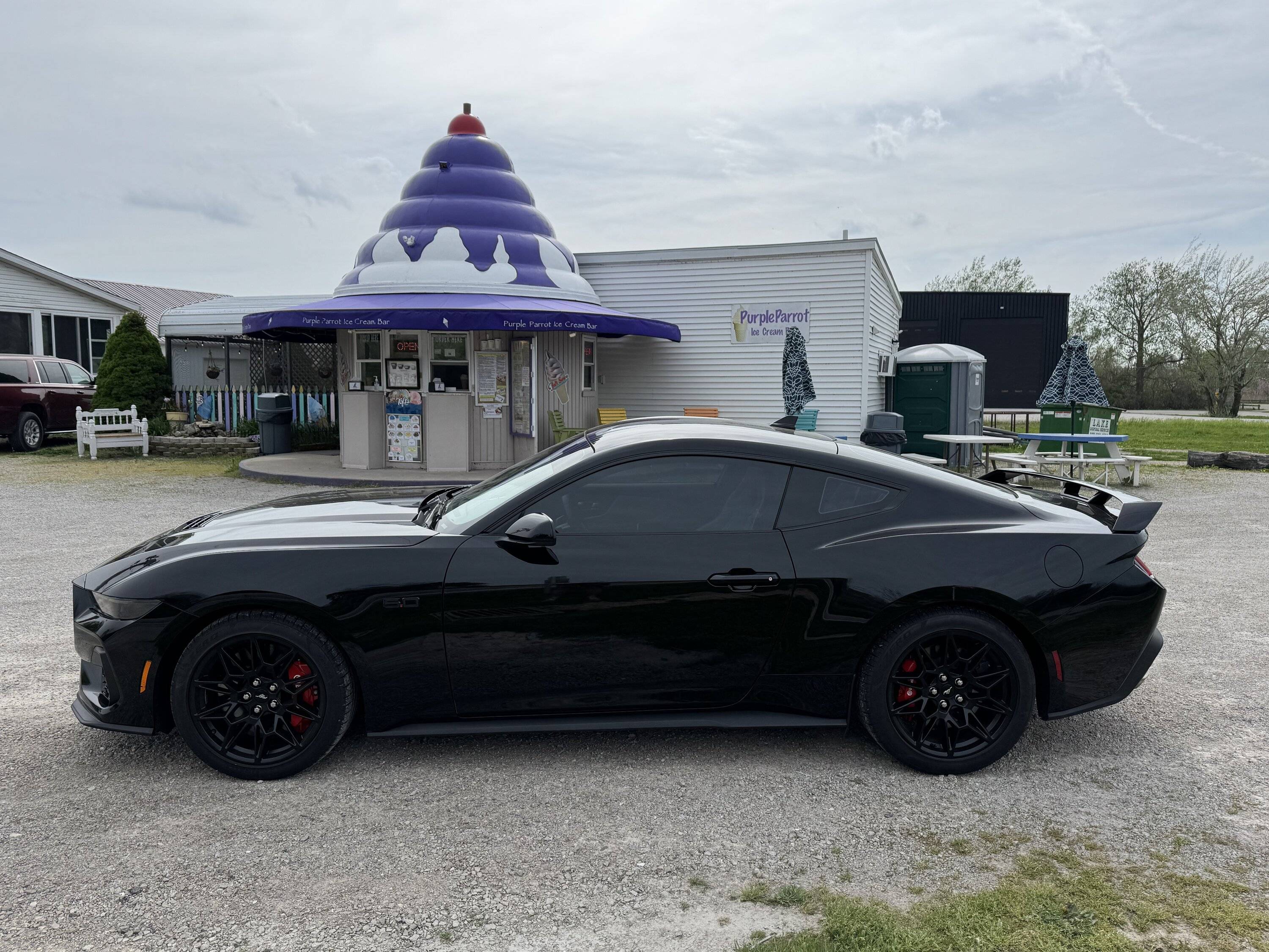 S650 Mustang Ice cream anyone? IMG_3123