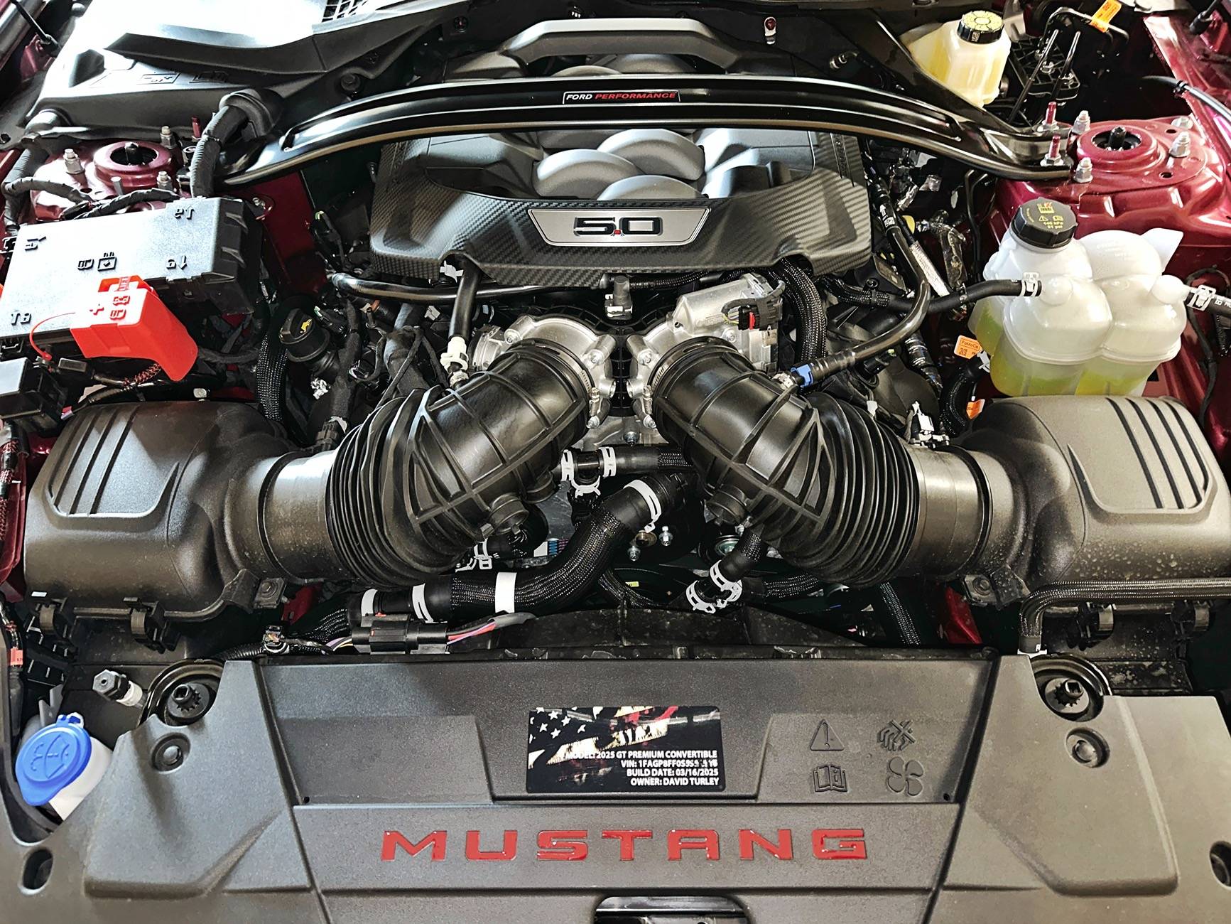 S650 Mustang Official MOLTEN MAGENTA Mustang S650 Thread IMG_6267