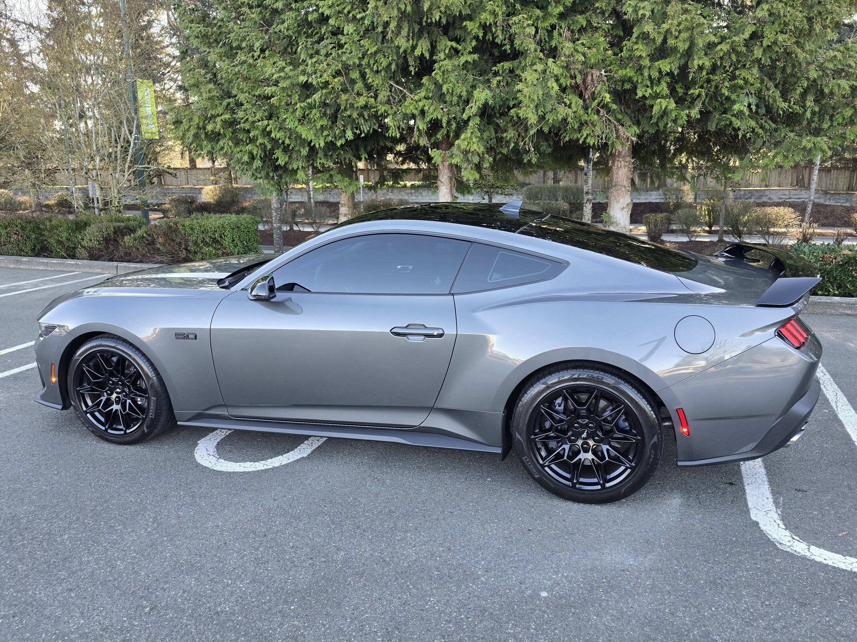 S650 Mustang Steeda IRS Rear Braces & 2 Pt G-Trac brace | Is an Alignment Needed? 20250301_090951