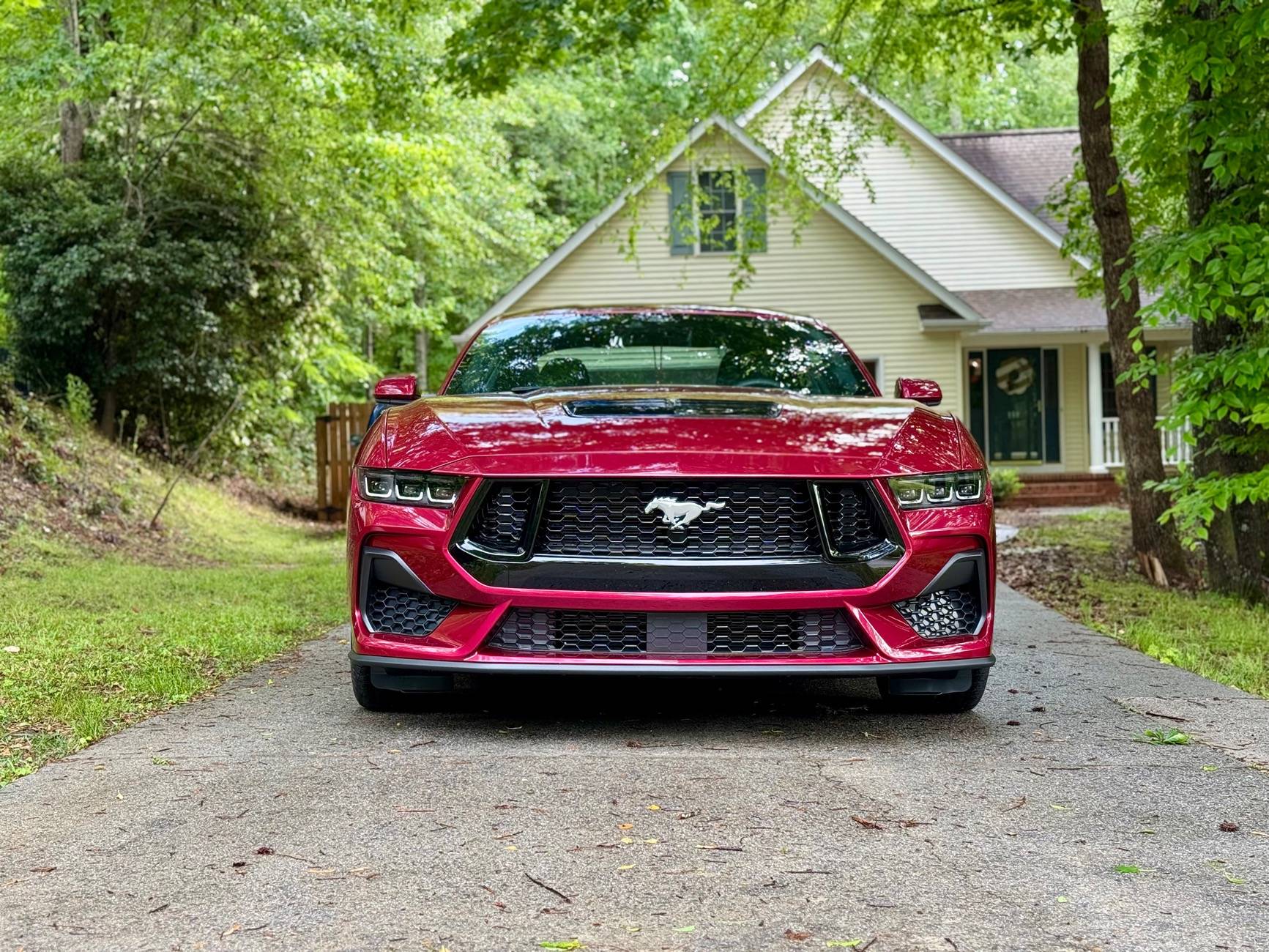 S650 Mustang Introductions & Welcome Thread 👋 IMG_5581