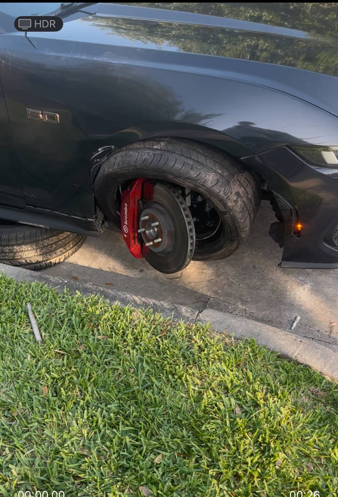 S650 Mustang S650 5.0 Repair IMG_4994