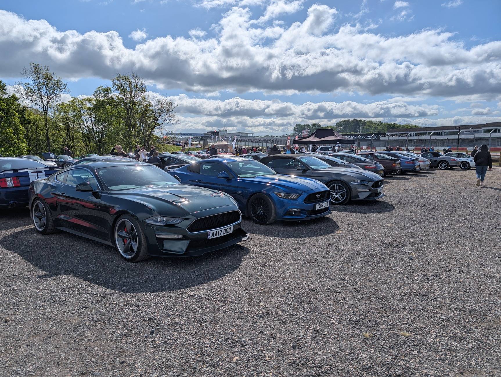 S650 Mustang Spotted thread PXL_20250504_085955374