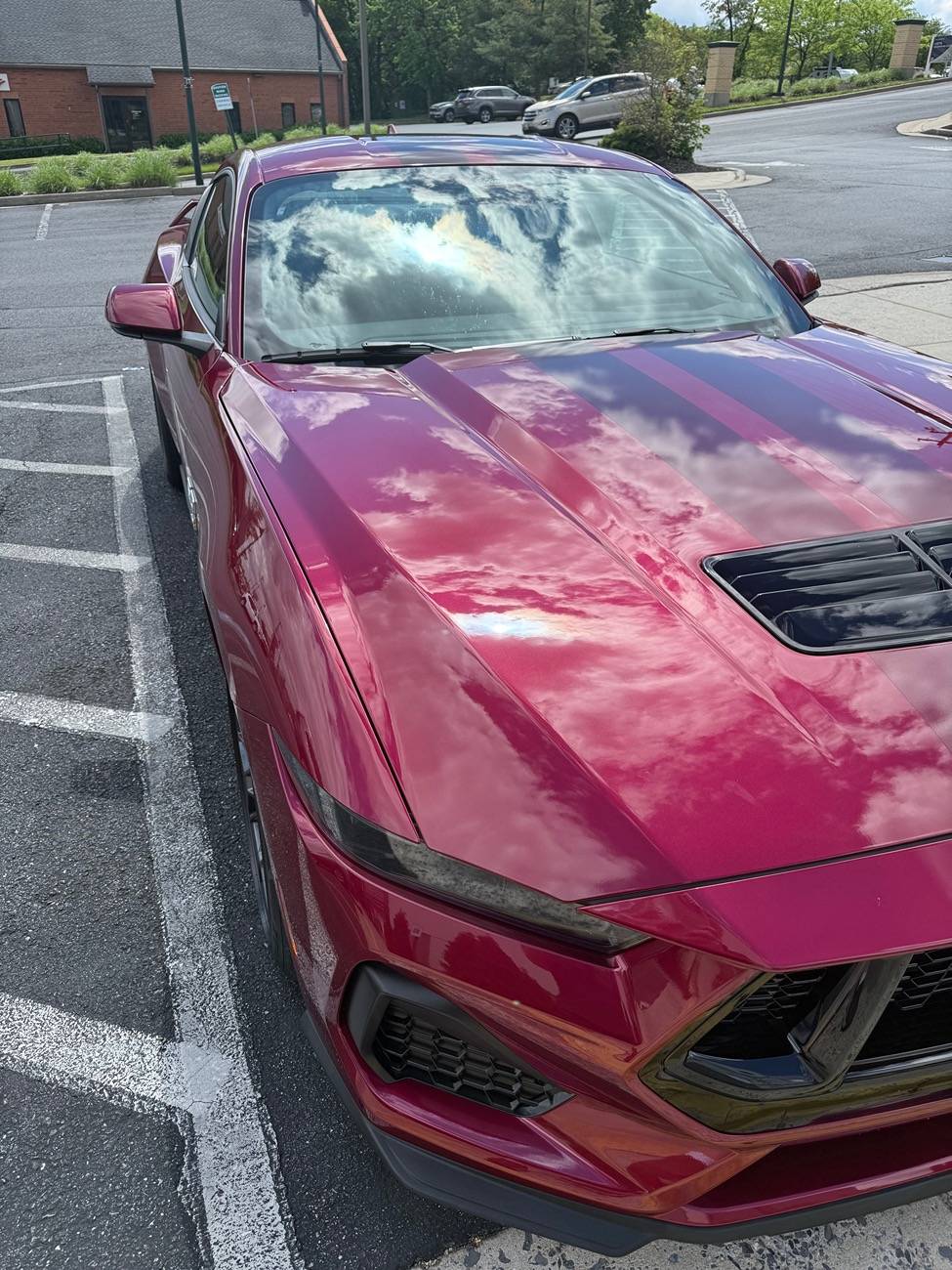 S650 Mustang Cool Daily Random S650 Mustang Pics -- Post Yours! 📸 IMG_0674