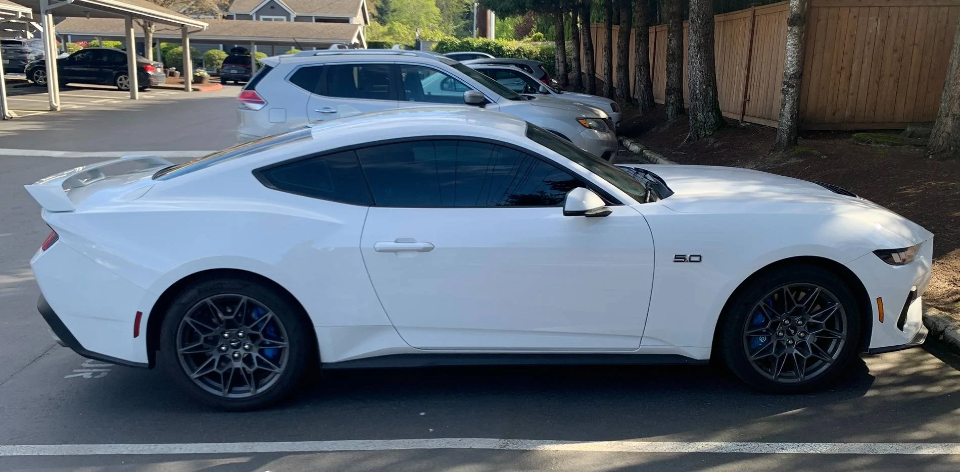 S650 Mustang Color PPF for Blue Racing Stripes on Oxford White GT IMG_5526 3