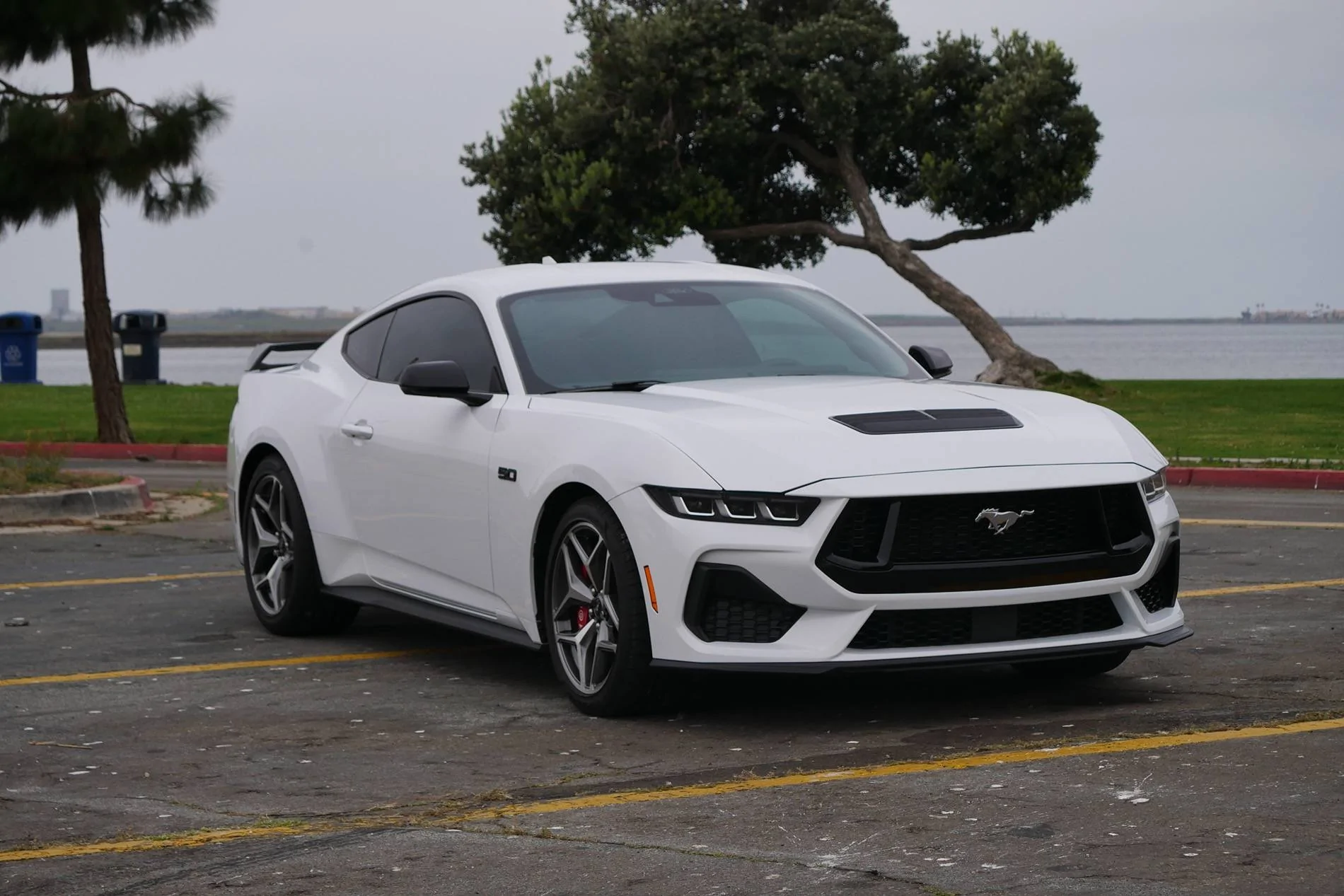 S650 Mustang Should I paint my roof black? IMG_9420