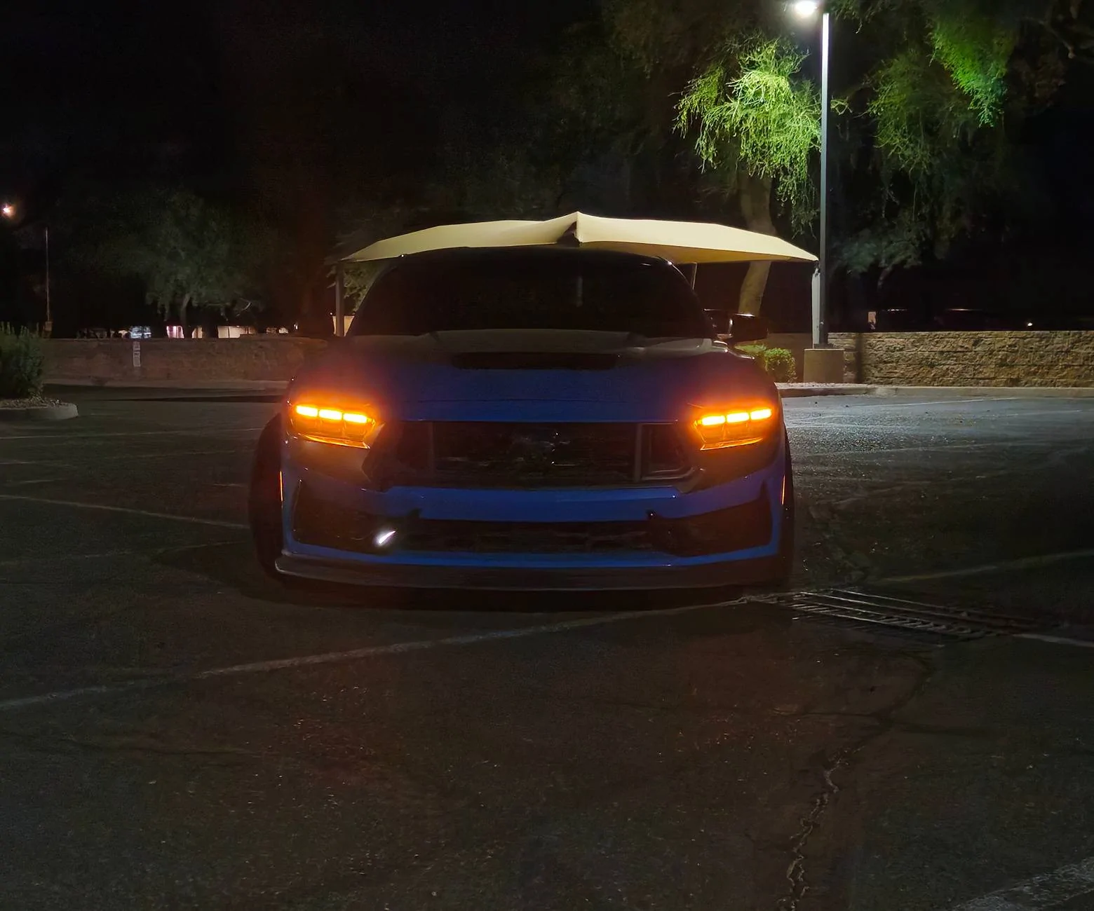 S650 Mustang roket's Dark Horse - "Azureus" Project 1747975475013-eu