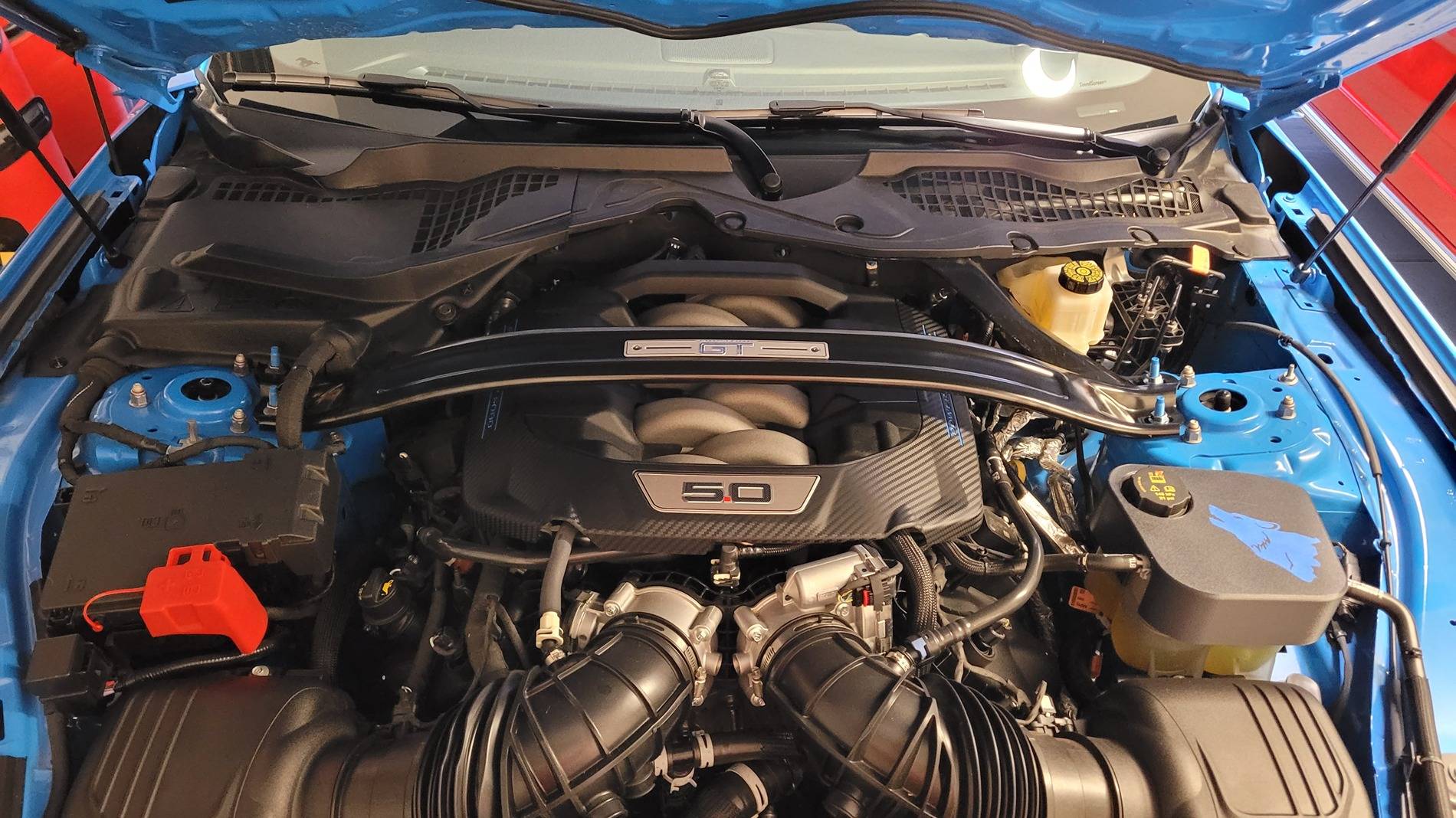 S650 Mustang My twin found me -- 2024 GT Grabber Blue 20250513_192924