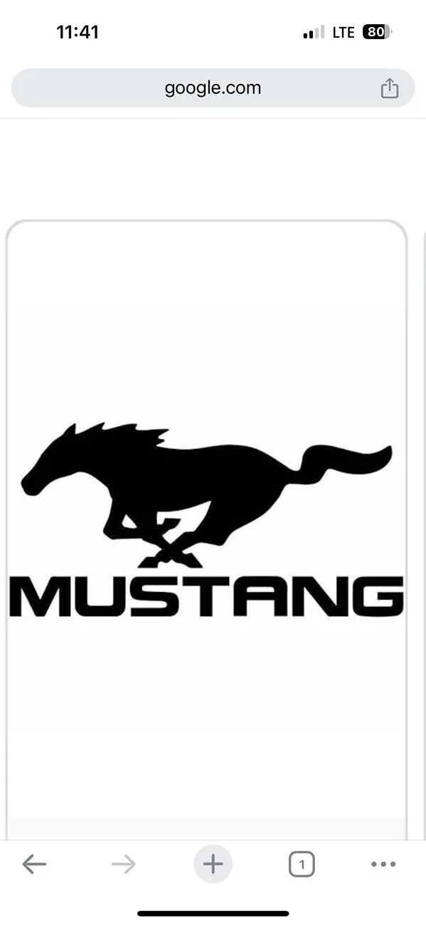 S650 Mustang Unofficial 2025 60th Anniversary Edition Mustang Registry IMG_0318