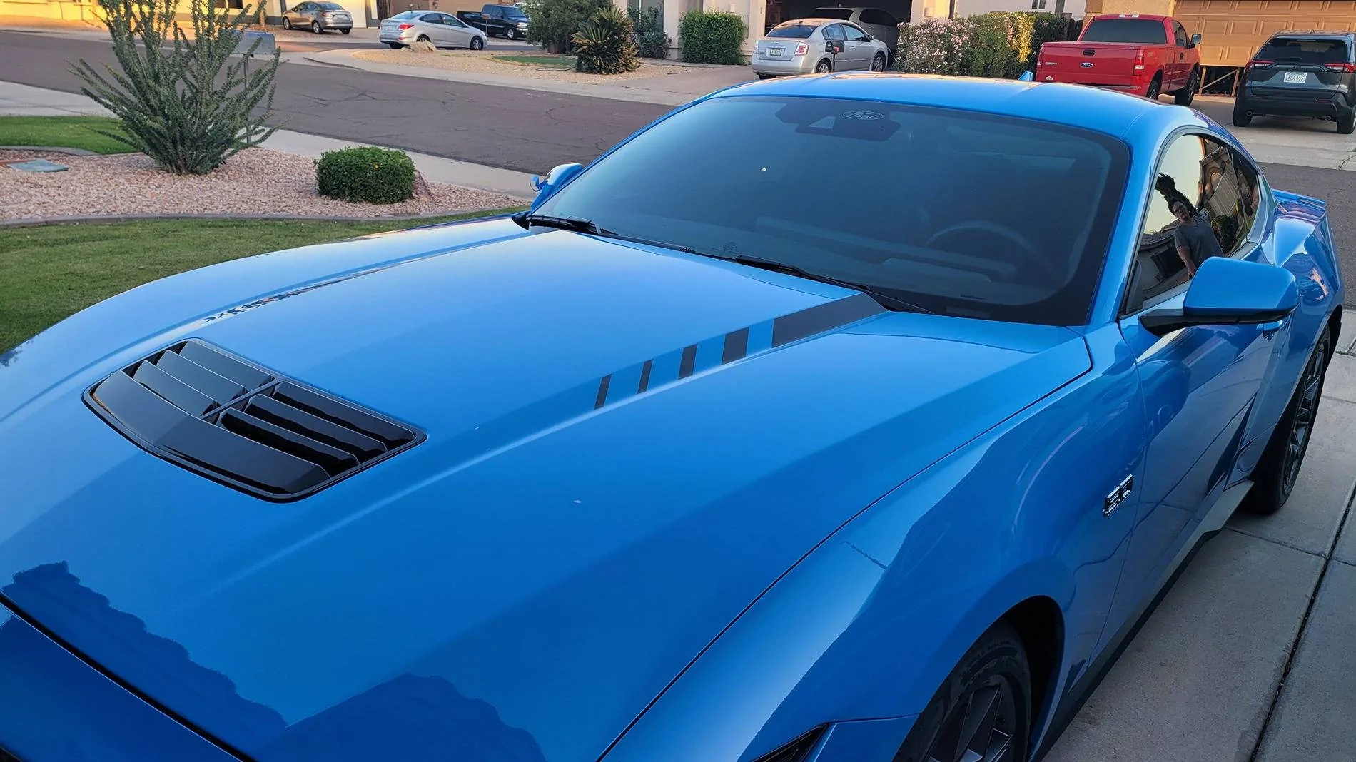 S650 Mustang My twin found me -- 2024 GT Grabber Blue 20250507_185759