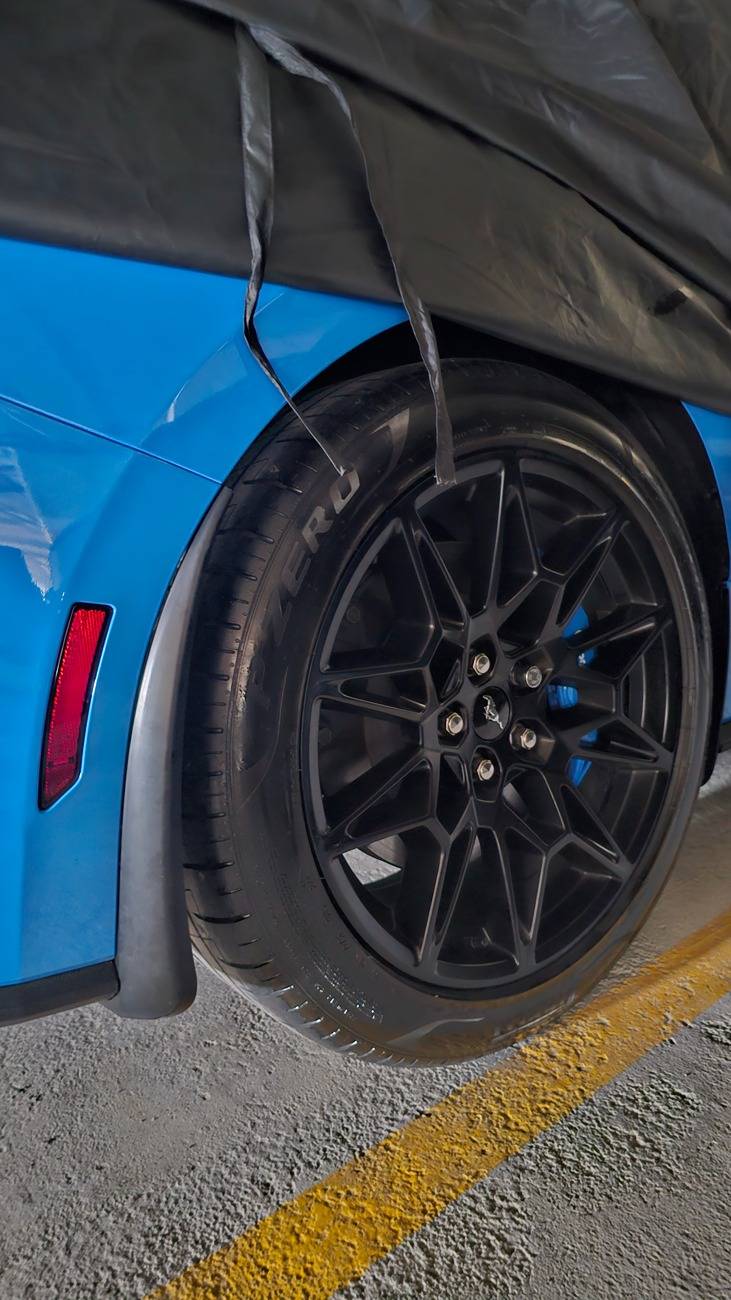 S650 Mustang Vapid Dominator GT (10R80, 401A, PP, AE, NPP, MR, Recaro) 20250531_155211