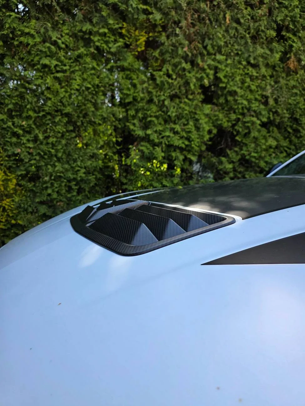S650 Mustang List of EU forum orders 20250601_101244(1)