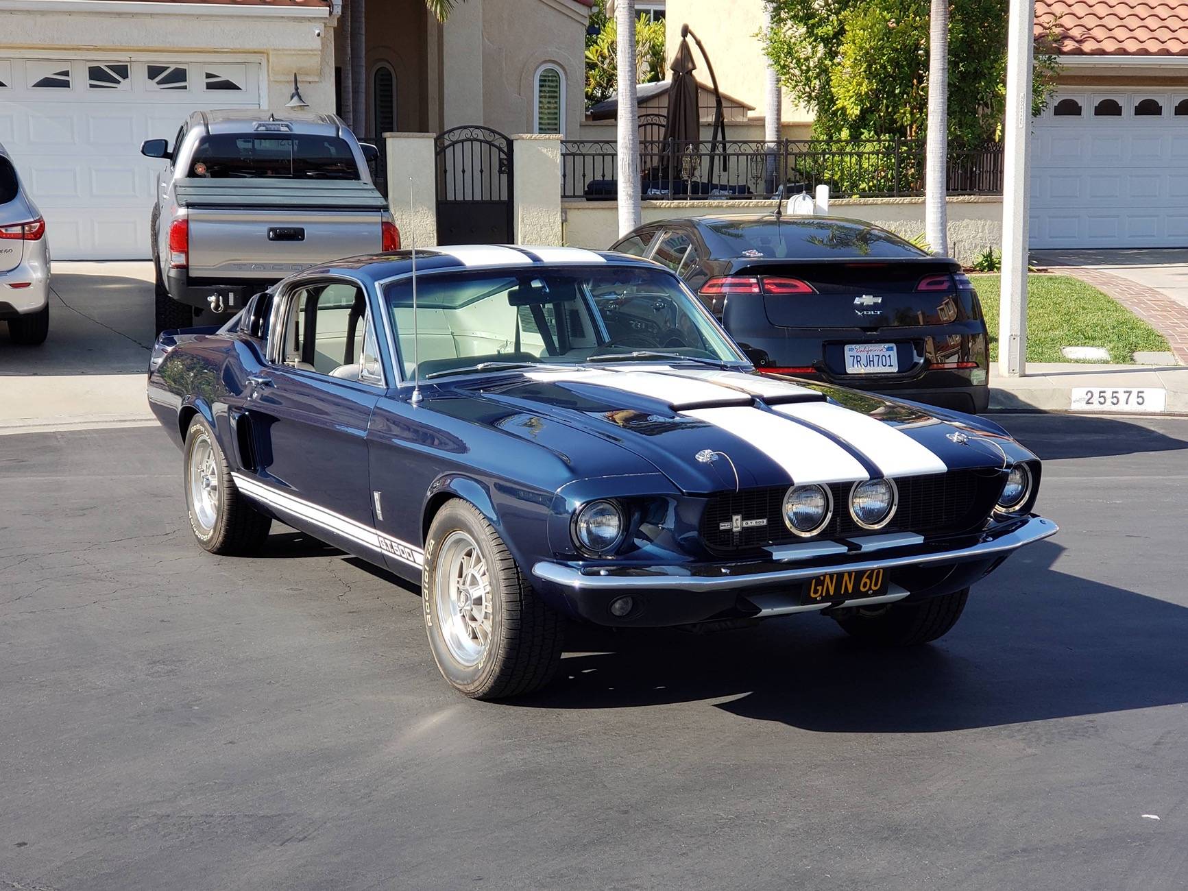 S650 Mustang How many Mustangs have owned? 1000000381