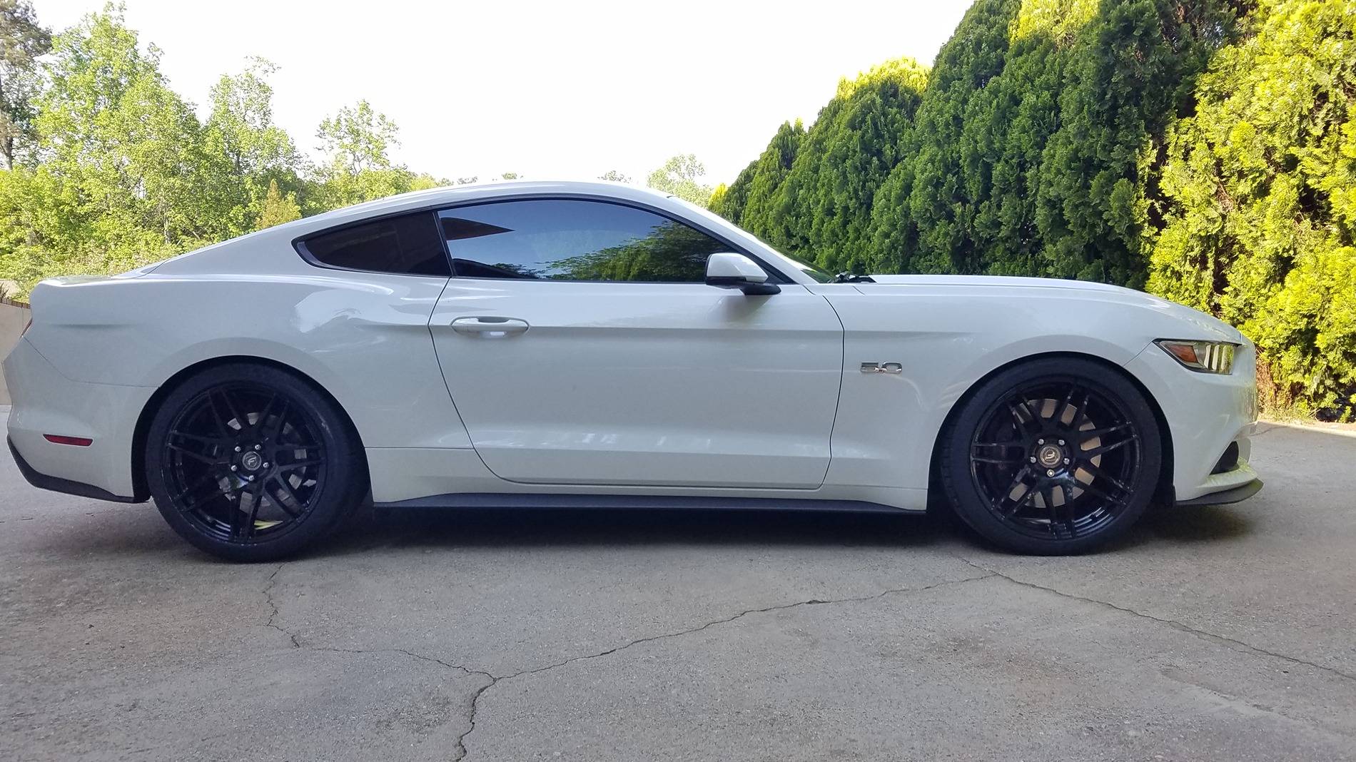 S650 Mustang How many Mustangs have owned? 1000002879