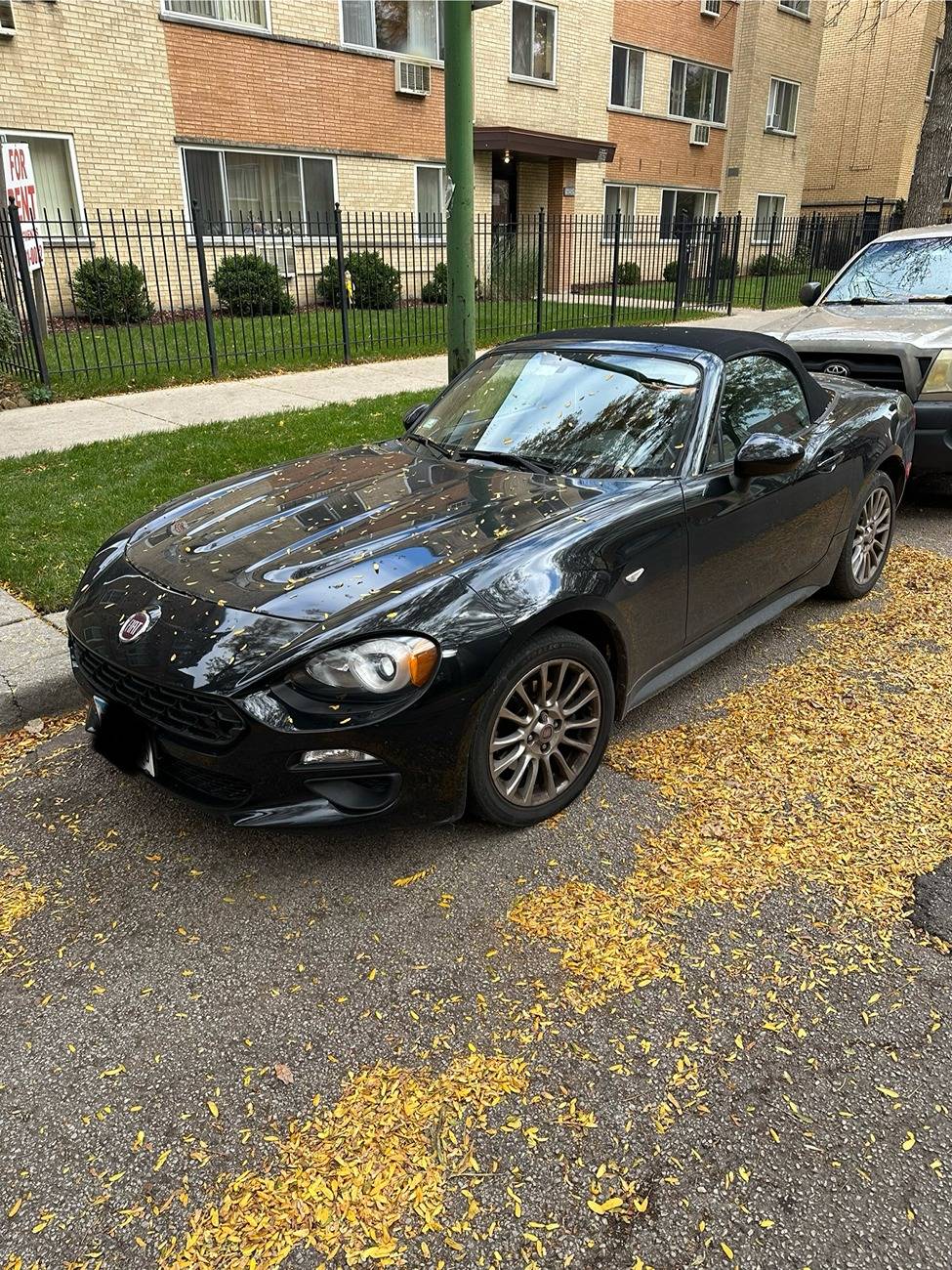 S650 Mustang Story of modifying my first car / Mustang 5