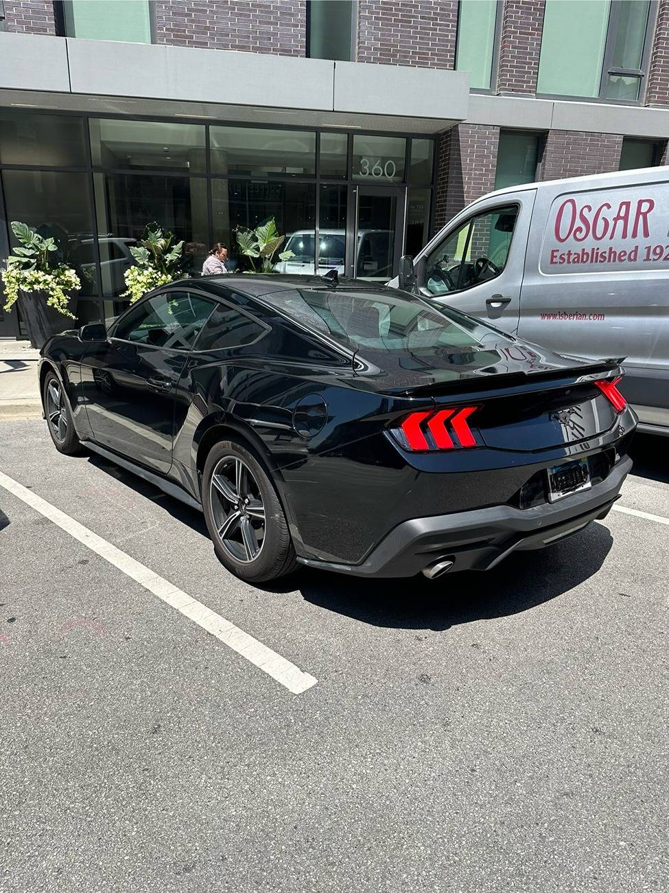 S650 Mustang Story of modifying my first car / Mustang 4