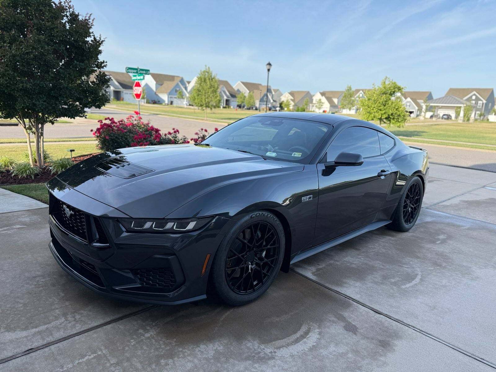 S650 Mustang How many Mustangs have owned? 163FFF4A-F8A1-4FB2-BEFD-CB13FAA1F719