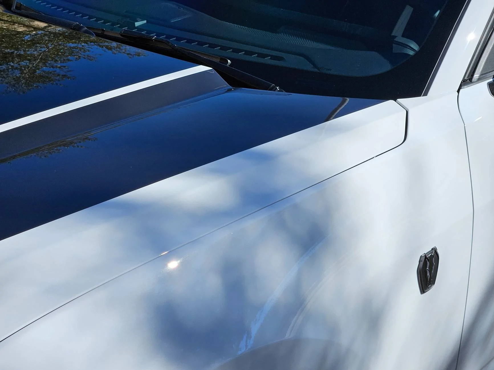 S650 Mustang Dark Horse Painted hood vs Vinyl decal 20240125_141145