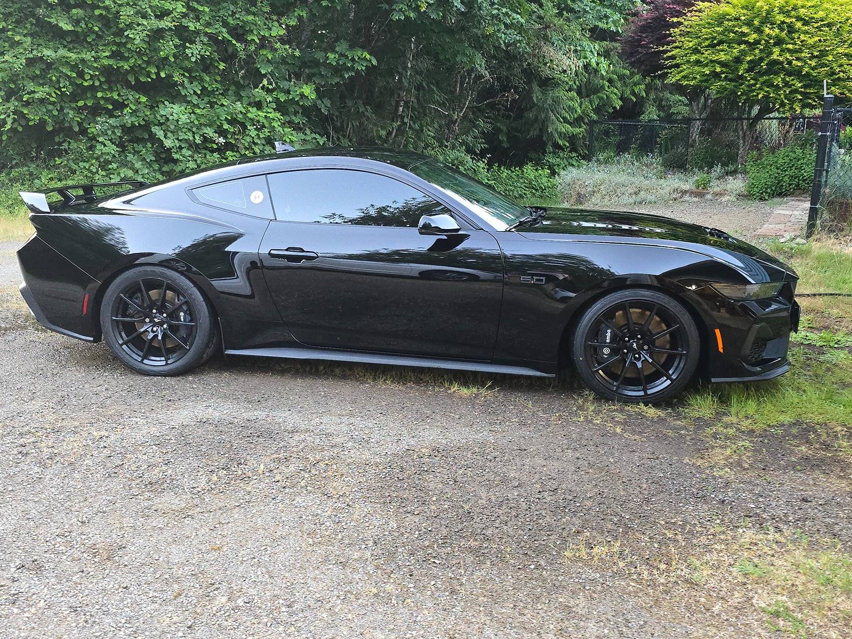 S650 Mustang What did you do to your S650 Mustang today?? 🙋🏻‍♂️ 20250607_205527