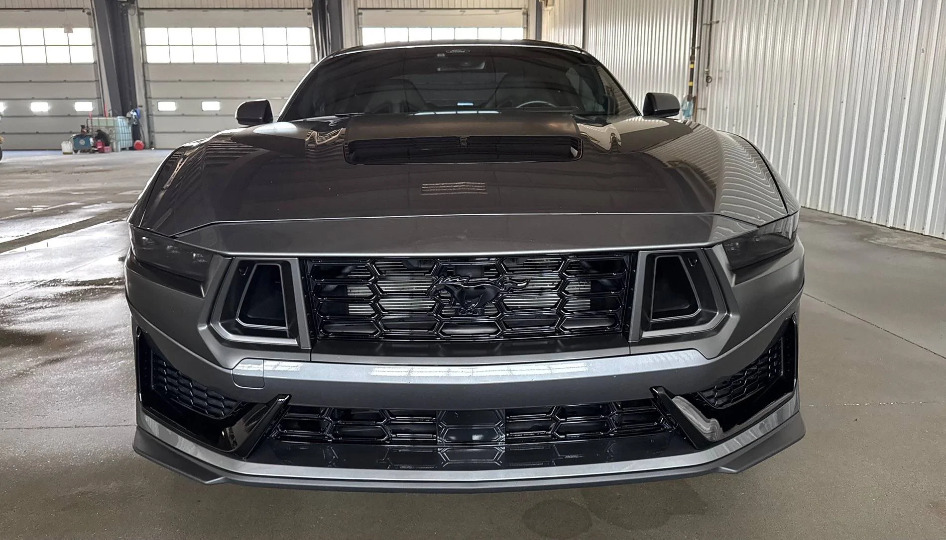 S650 Mustang Cool Daily Random S650 Mustang Pics -- Post Yours! 📸 IMG_8033
