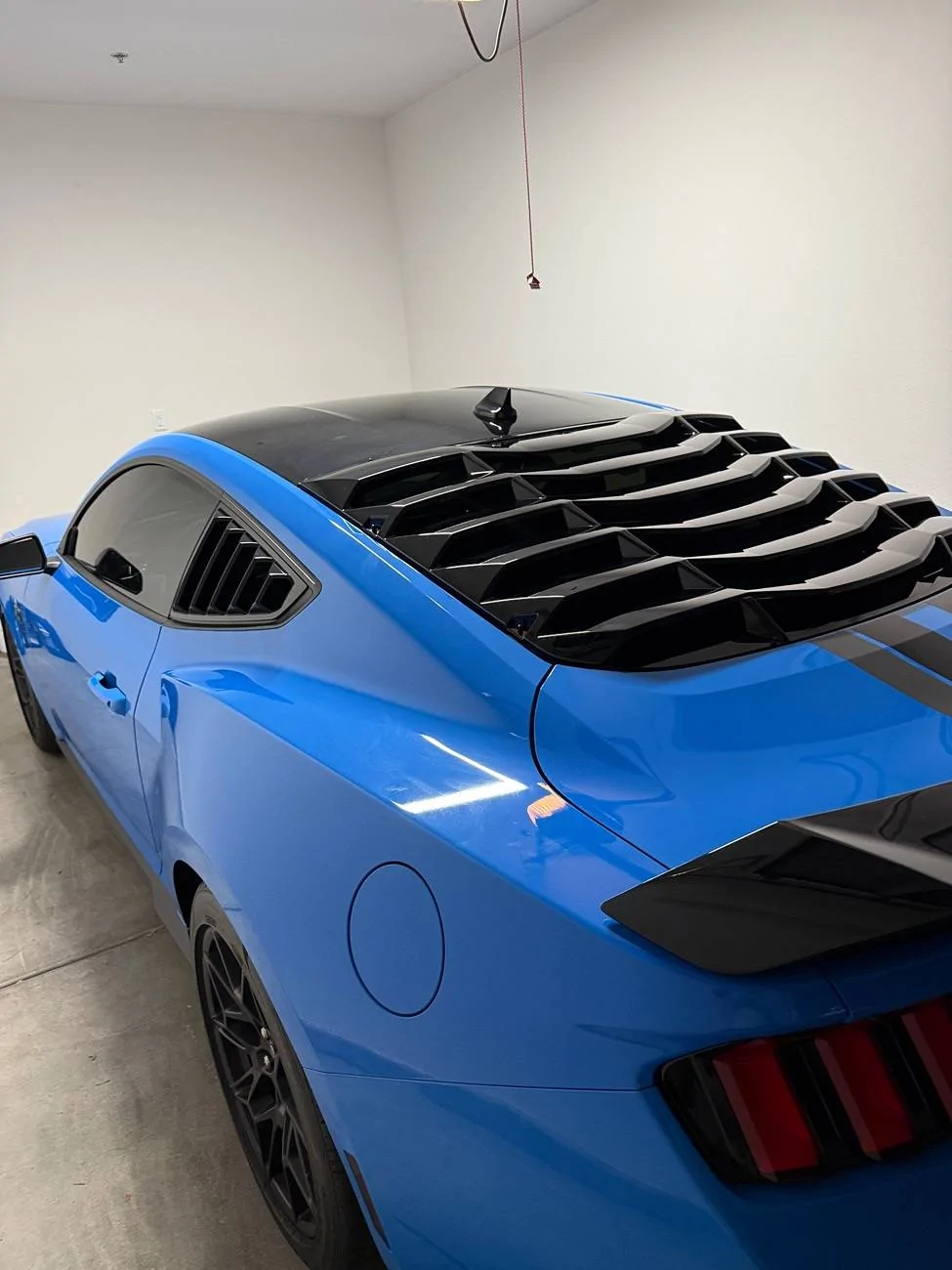 S650 Mustang Cool Daily Random S650 Mustang Pics -- Post Yours! 📸 IMG_2286
