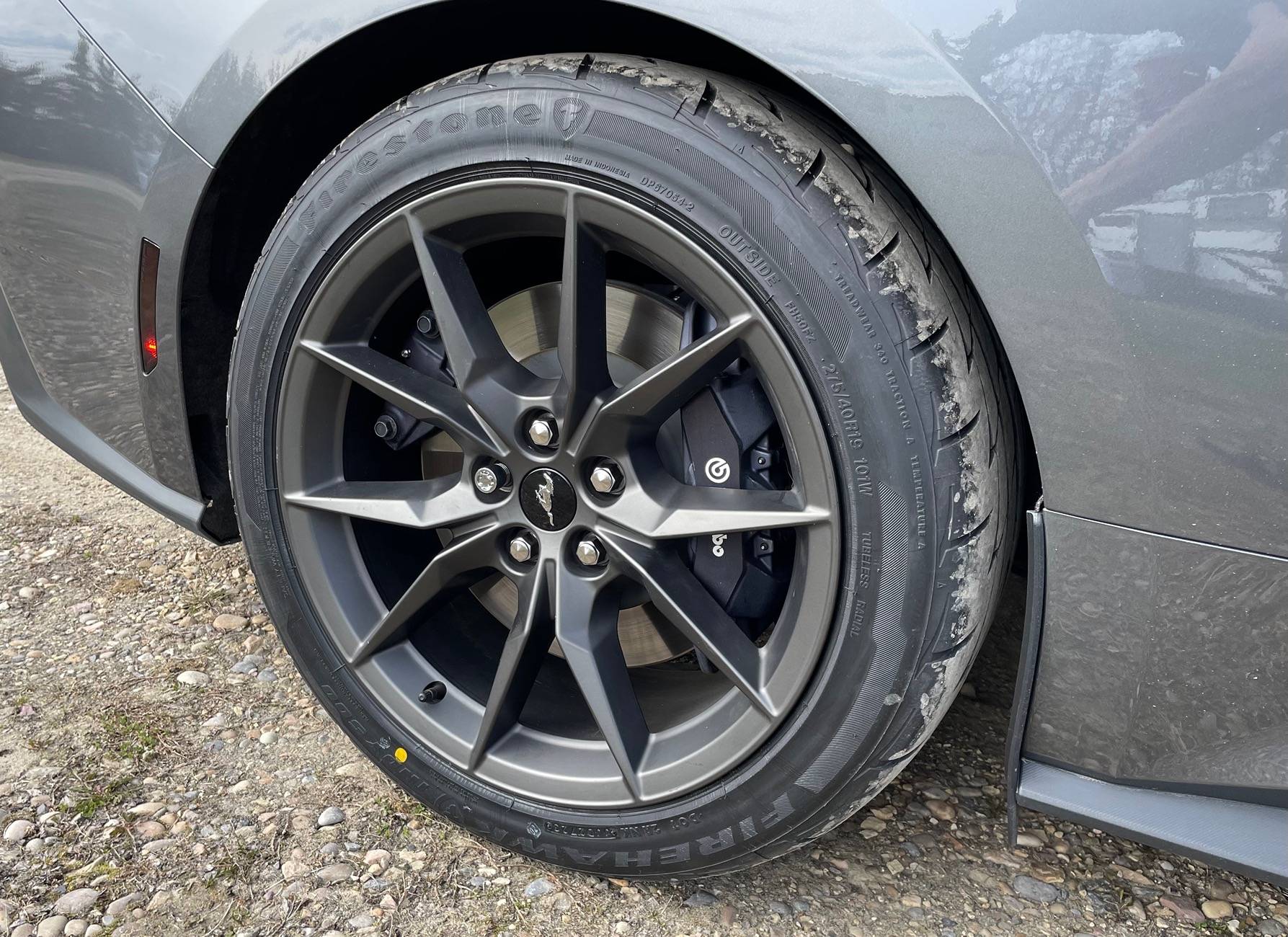 S650 Mustang *Poll* Summer Tire Brand 4ADC4F5B-A532-4B70-9FBB-34FFE22ABB8A