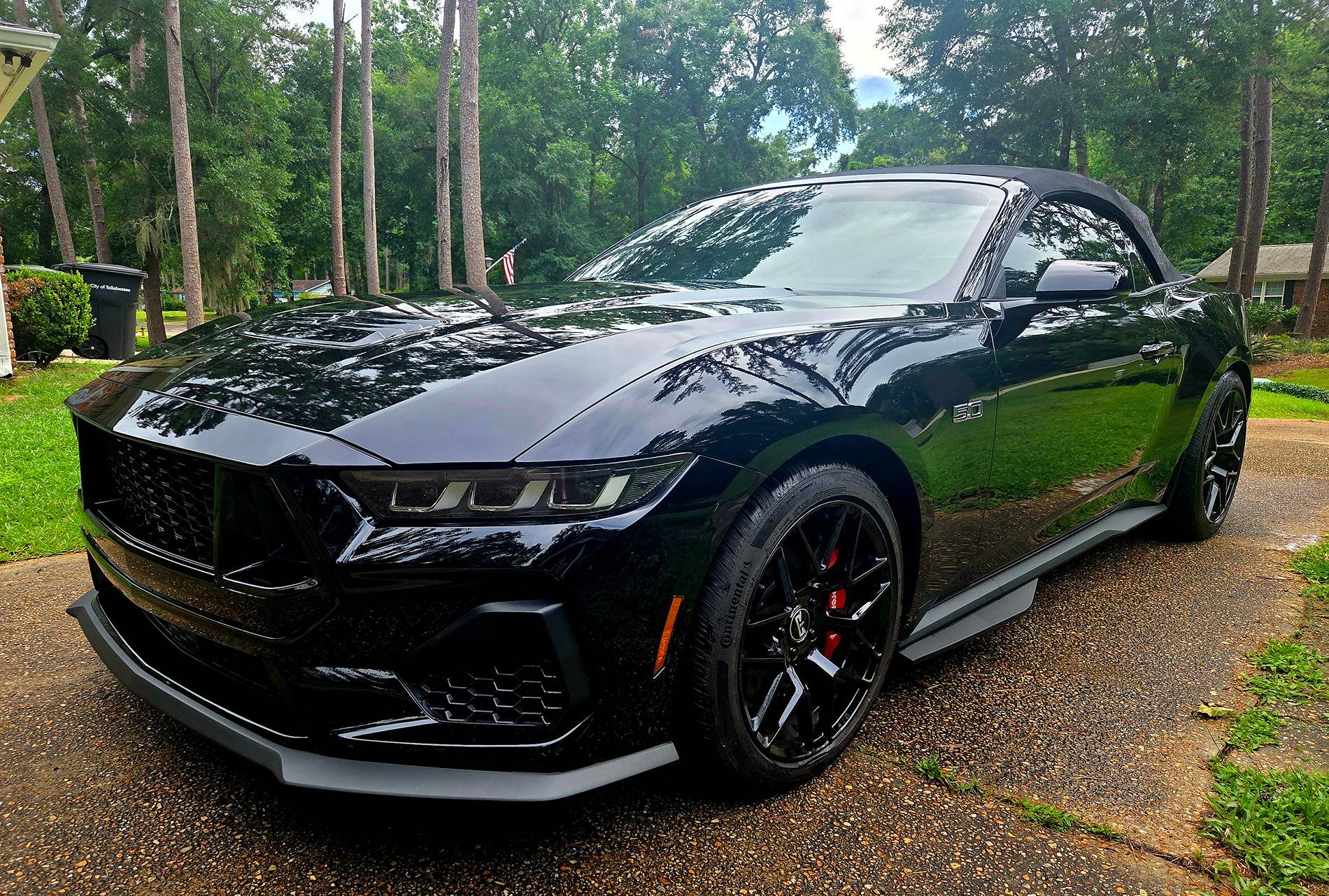 S650 Mustang Chin Spoiler/Splitter Options 1000027838