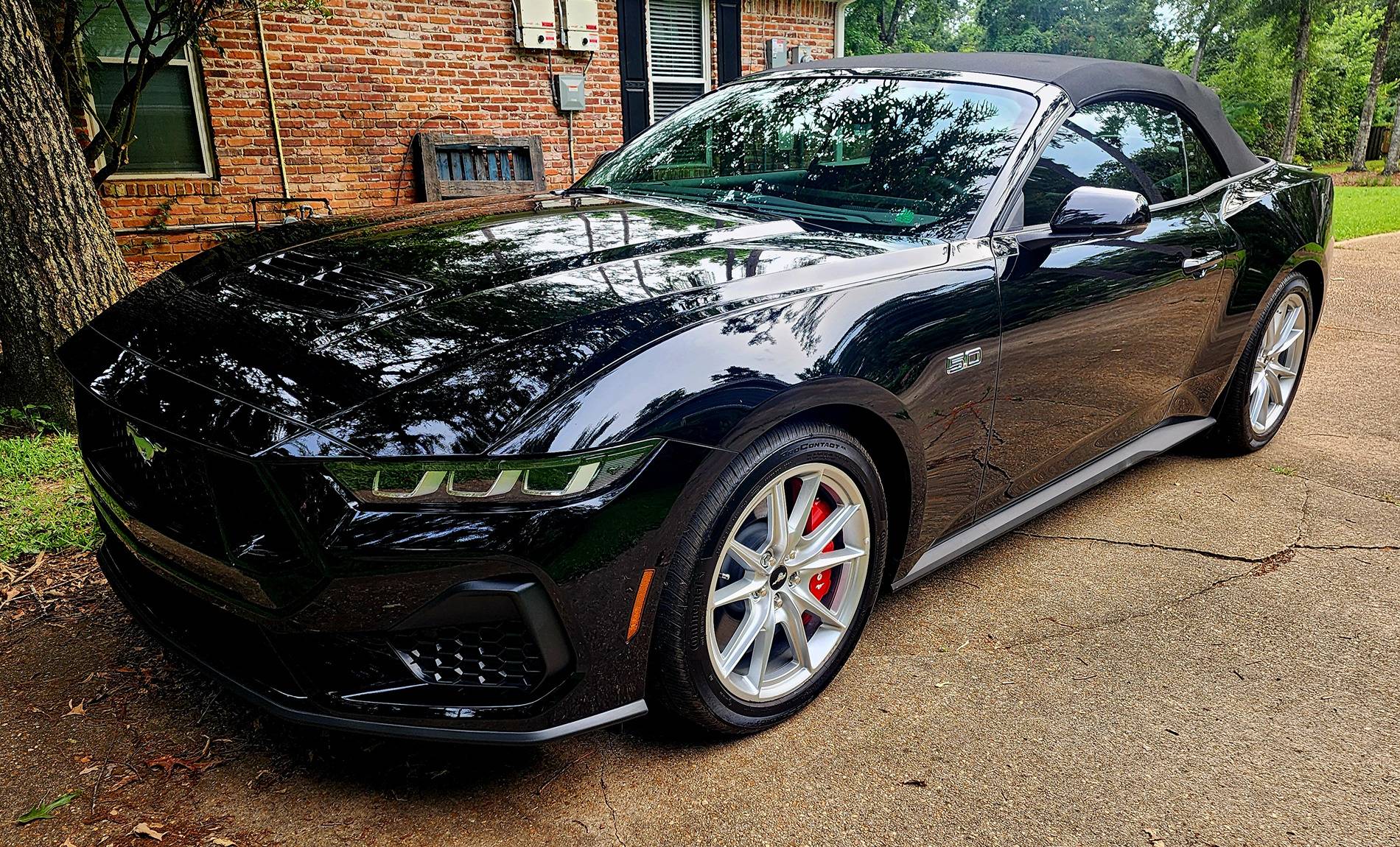 S650 Mustang Chin Spoiler/Splitter Options 20240601_172724