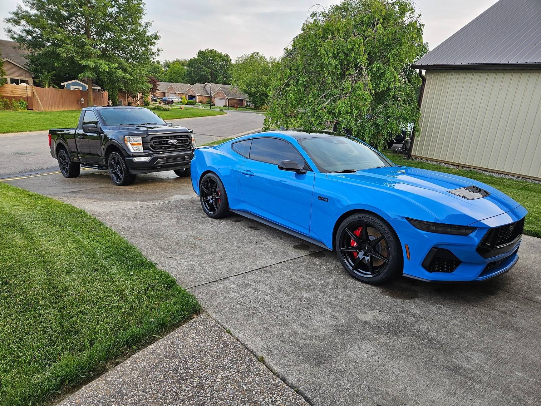 S650 Mustang Thumbs up to this forum 1000007679