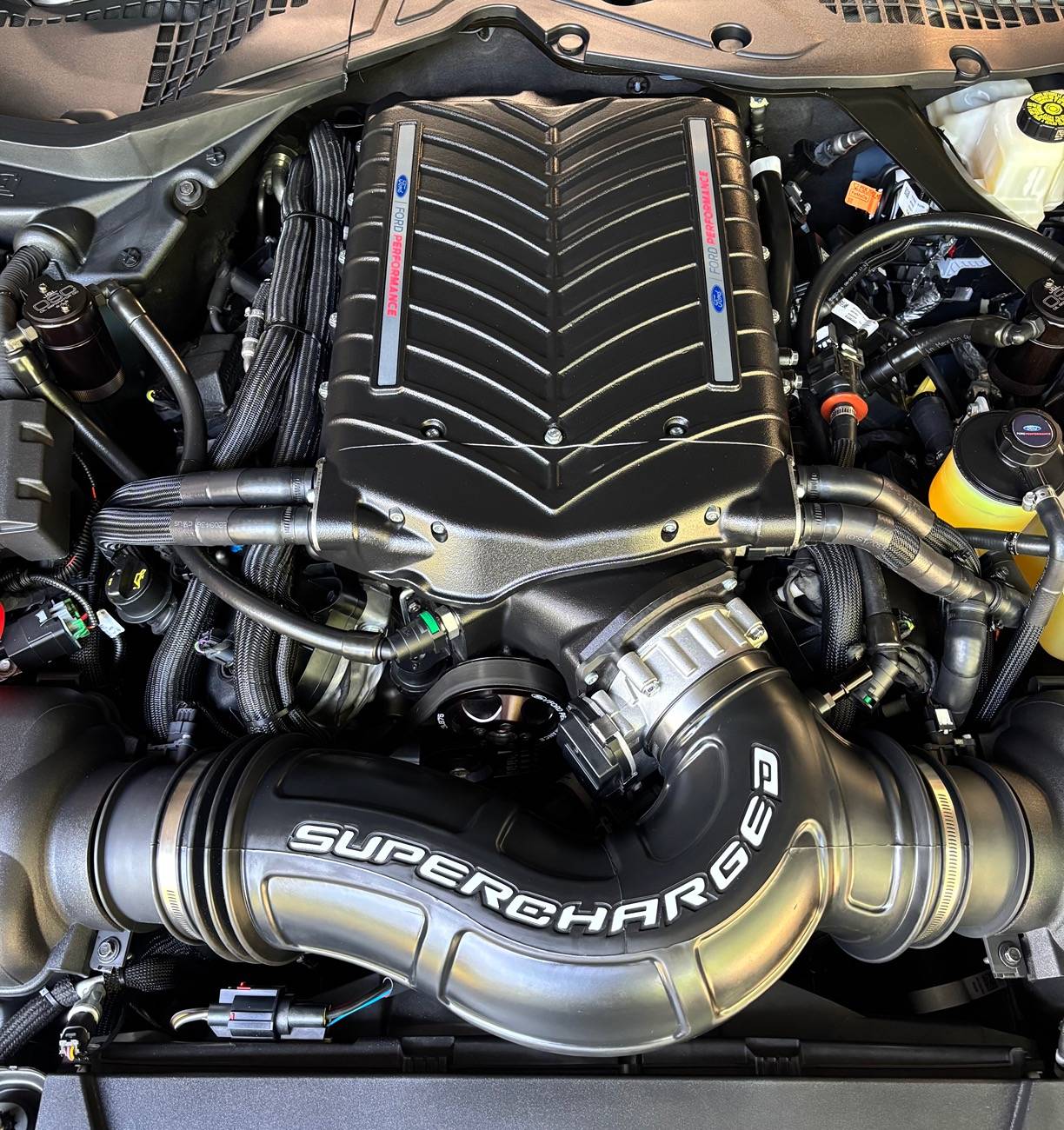 S650 Mustang Supercharged Decal? IMG_2684