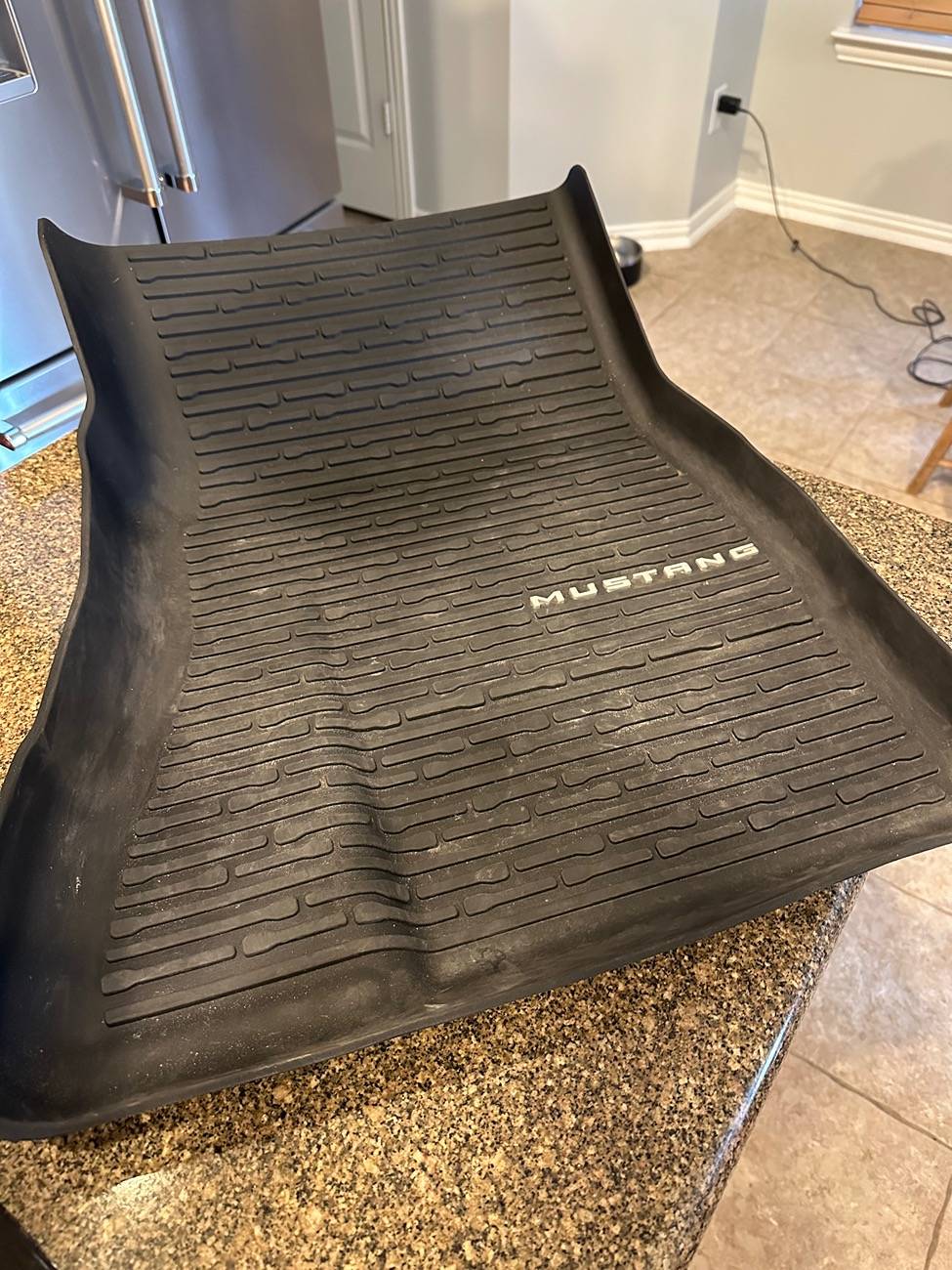 S650 Mustang Cleaning floor mats (all weather) and Shoe Cleaner 🤔👟🫧 IMG_4101